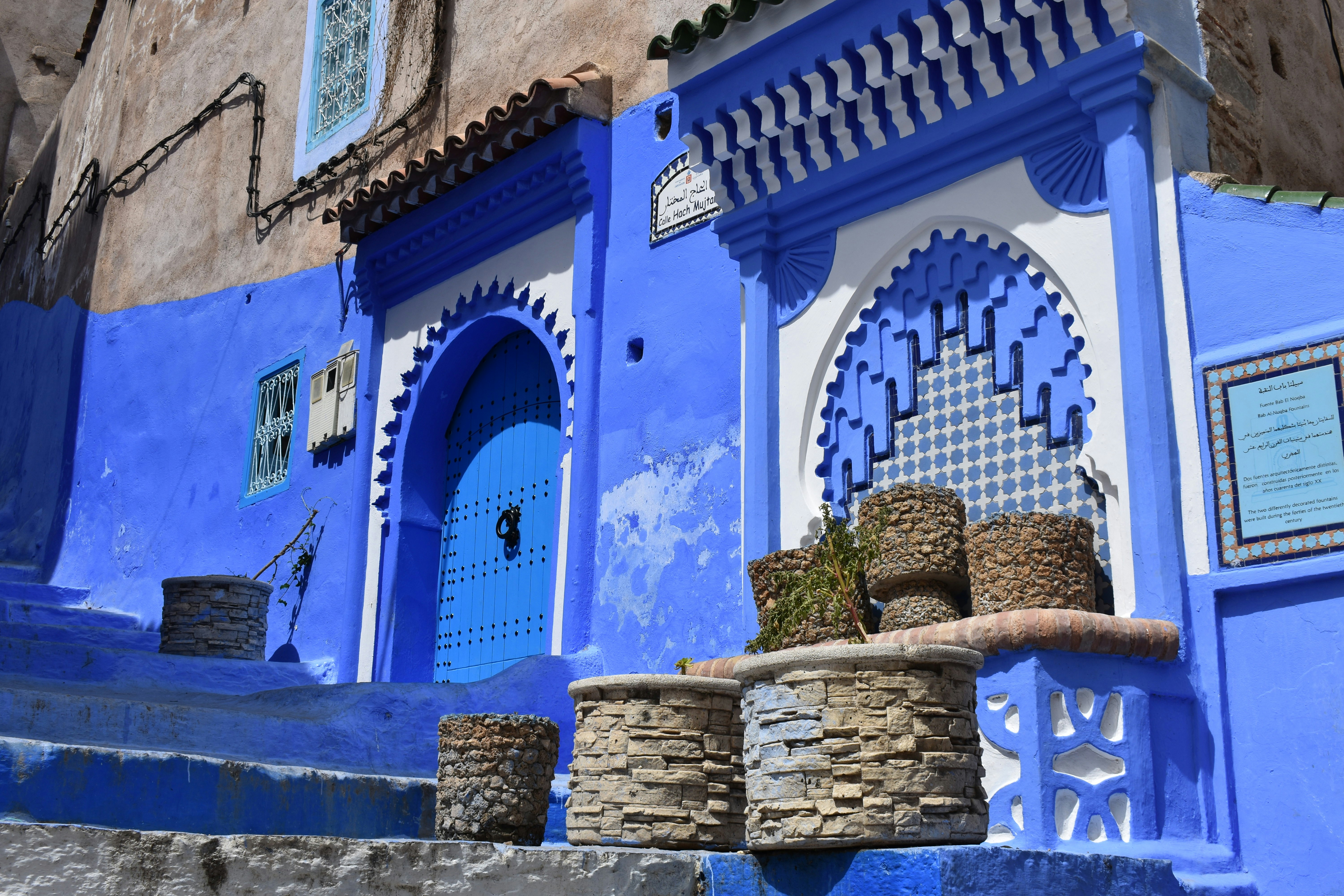 Blue buildings with intricate doorways and potted plants.