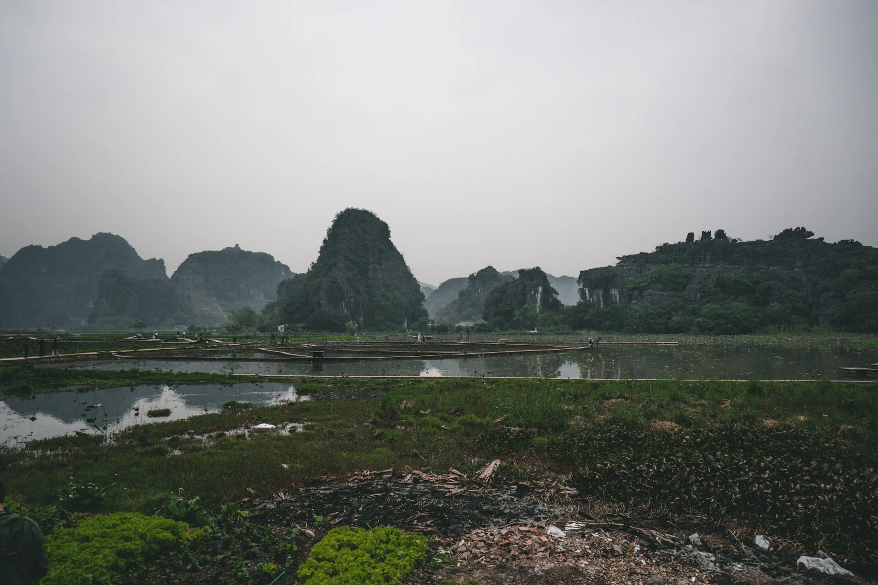 Linh & Duy — Ninh Bình — ảnh 9