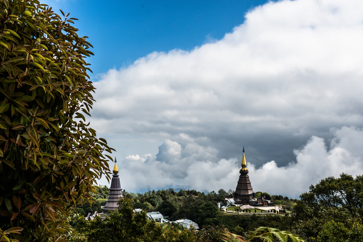 Lush greenery surrounding a boutique hotel in Chiang Mai