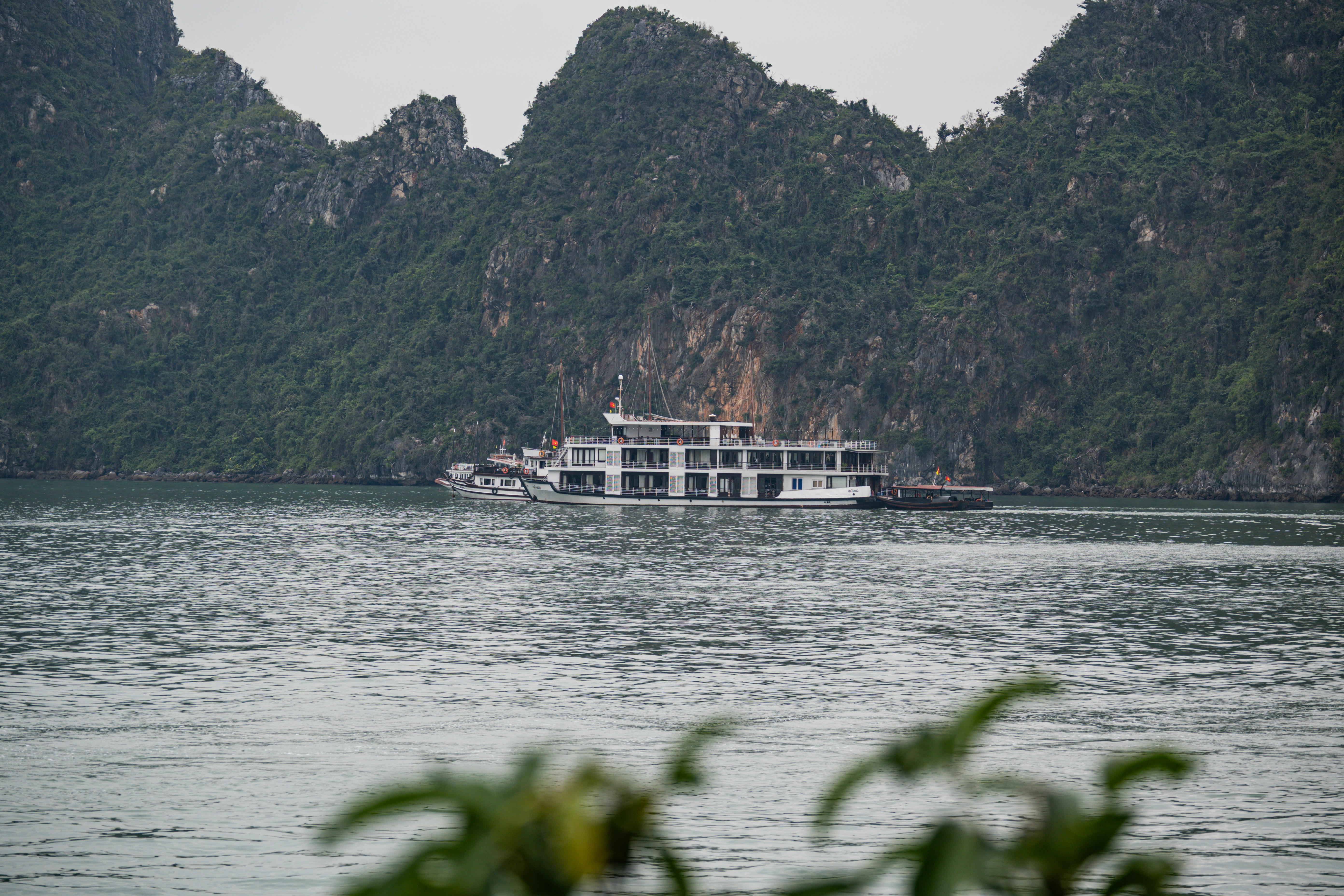 When and Where to Witness the Light Show: Seasonal Patterns - Halong Bay bioluminescence night kayak