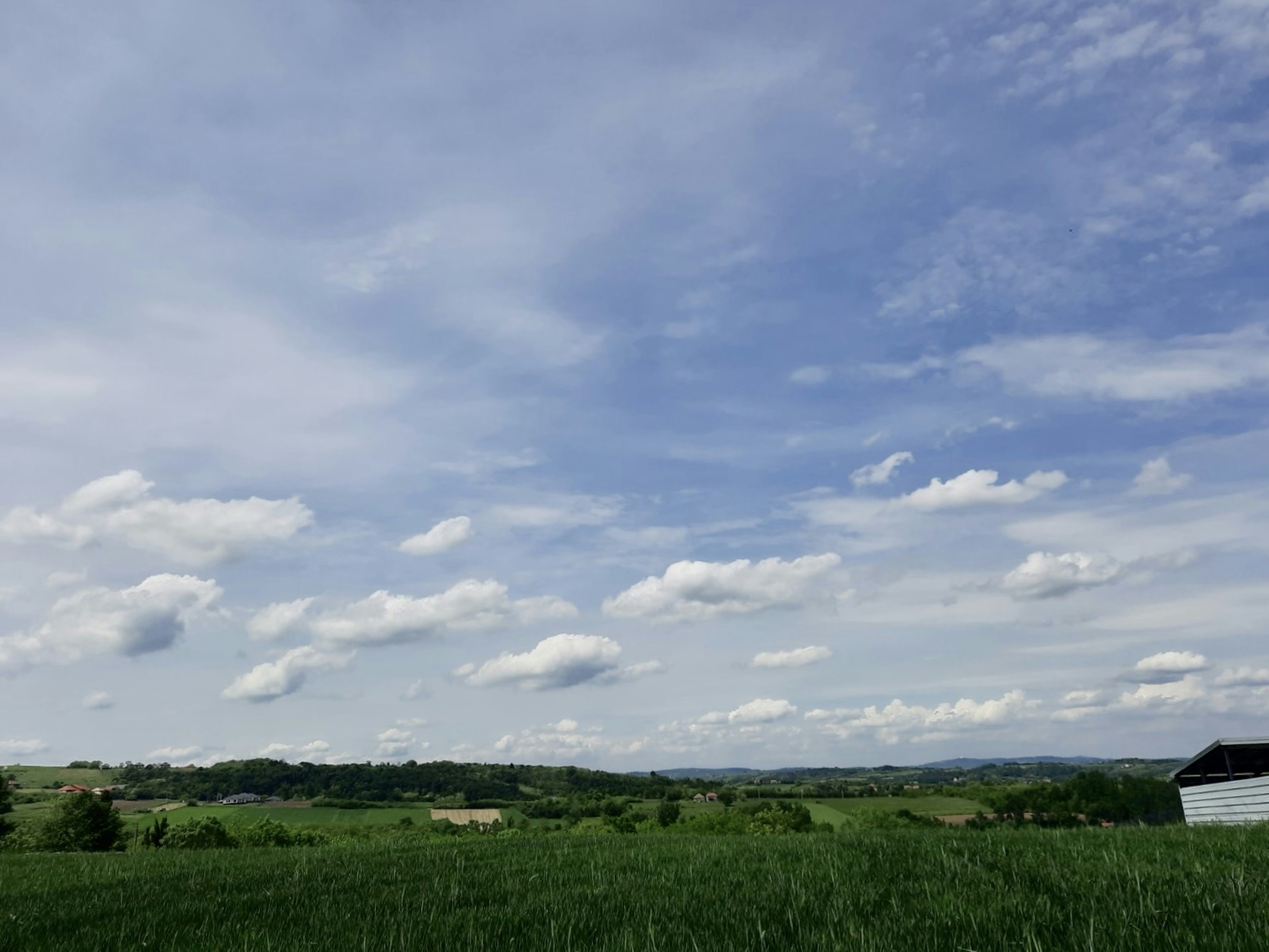 Photo by alen_
