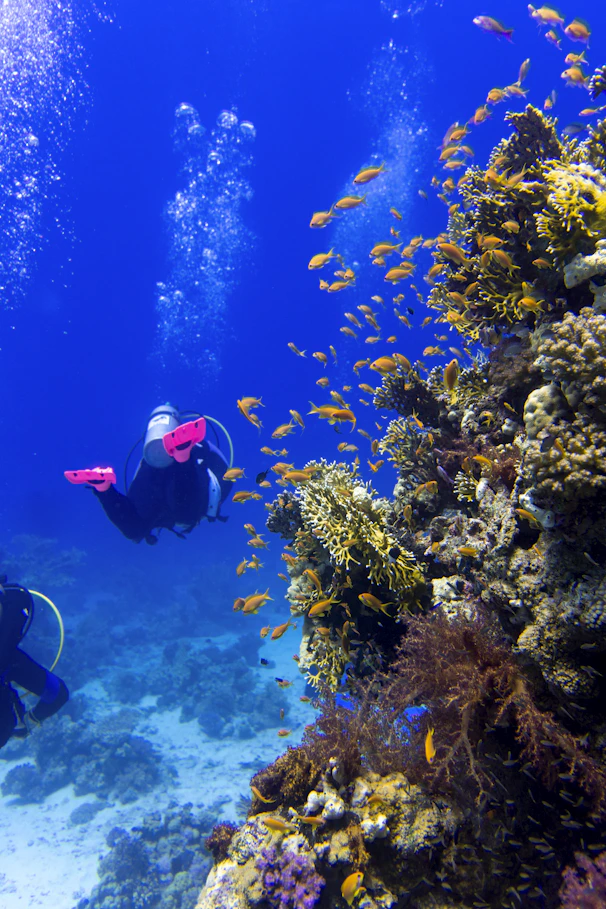 maldives package from india