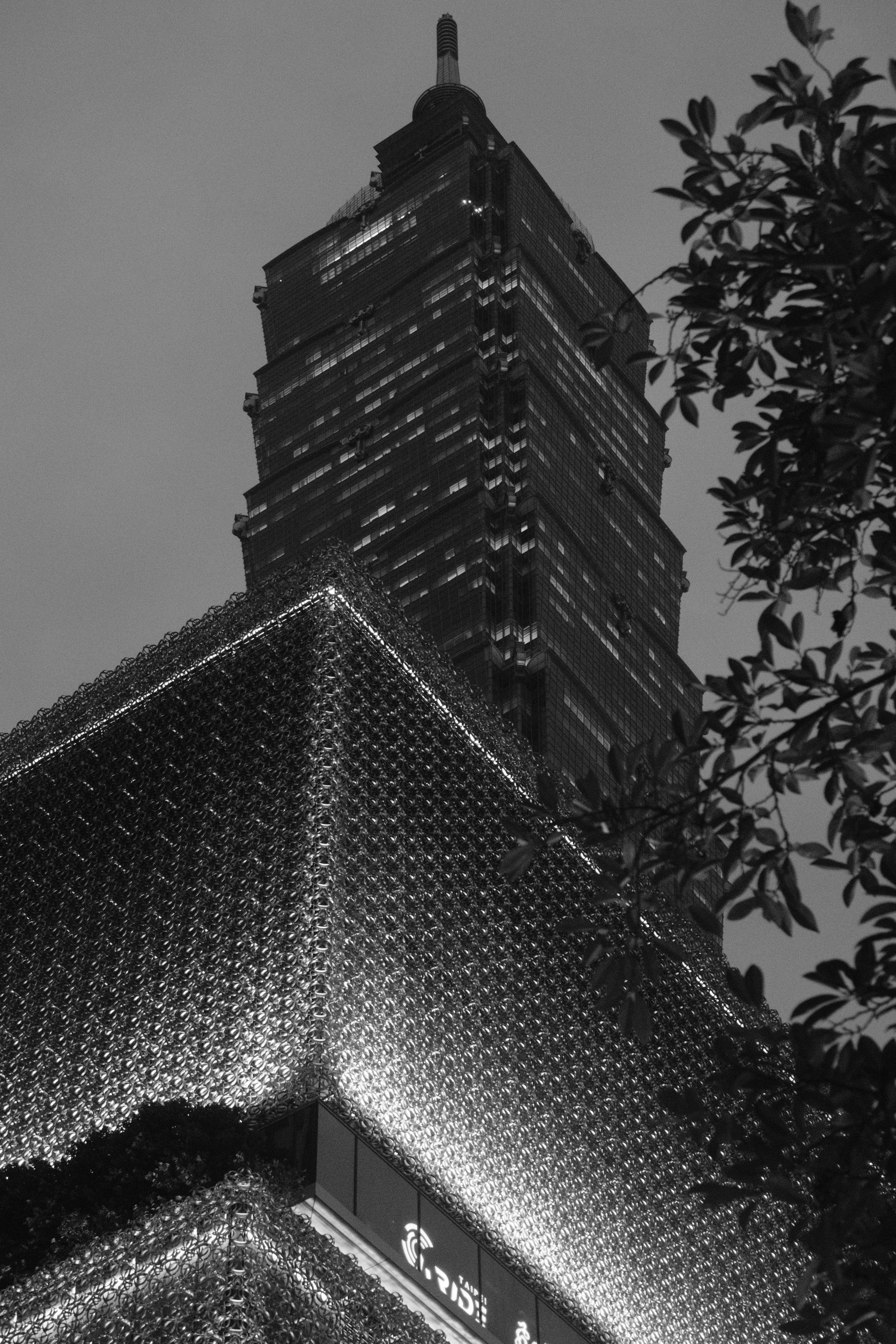 Tall skyscraper illuminated at night with tree branches