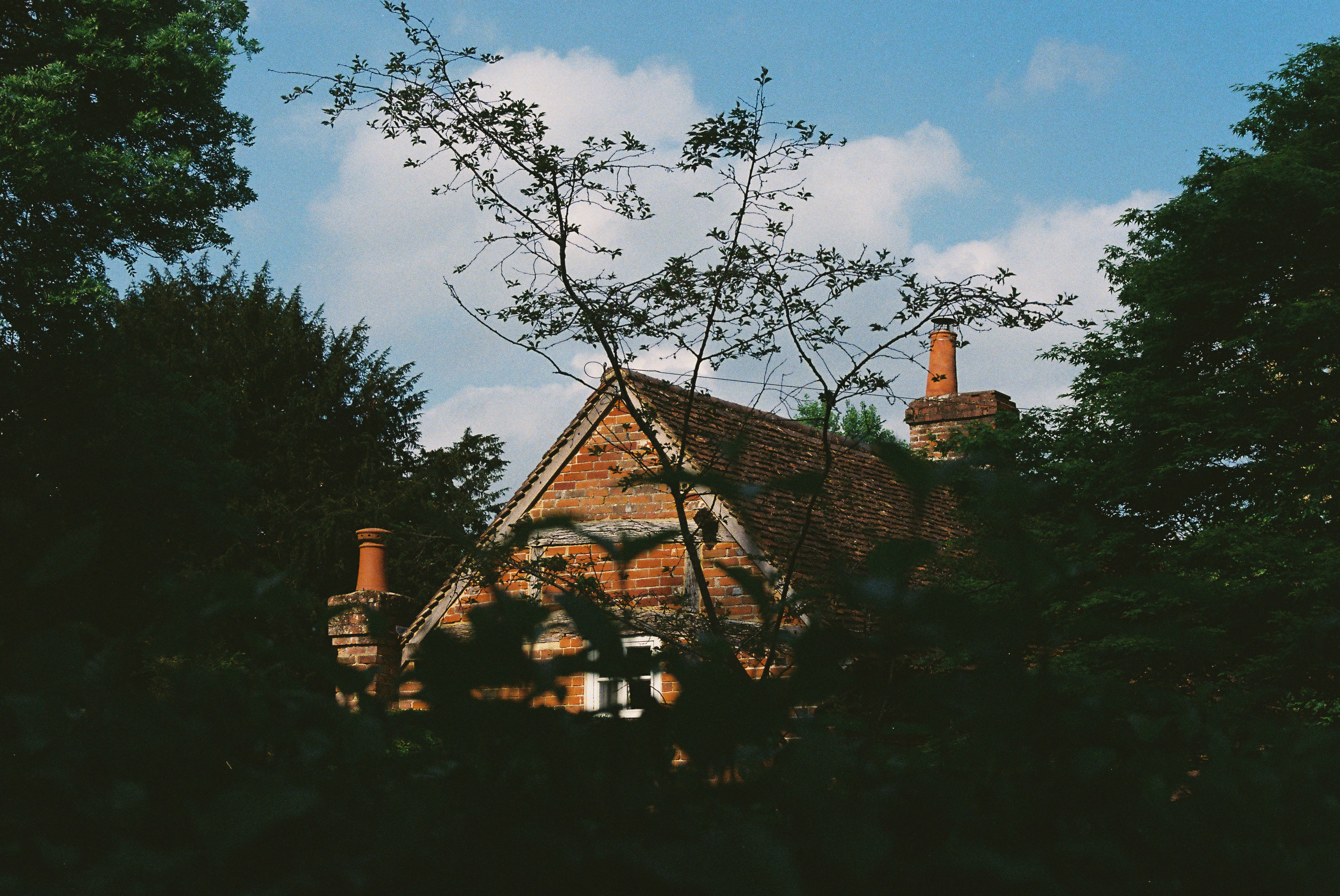 Photo by tanyabarrow