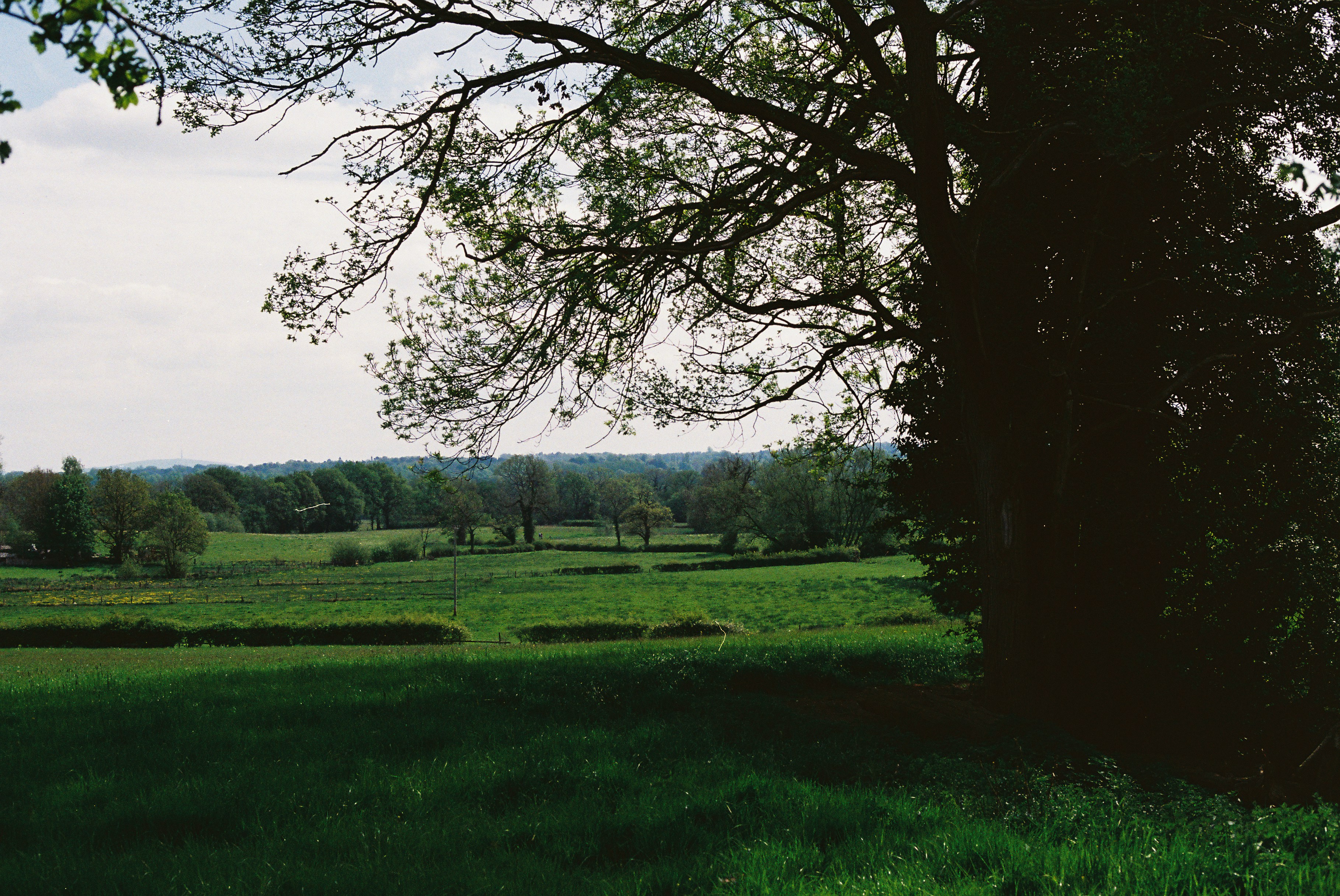 Photo by tanyabarrow