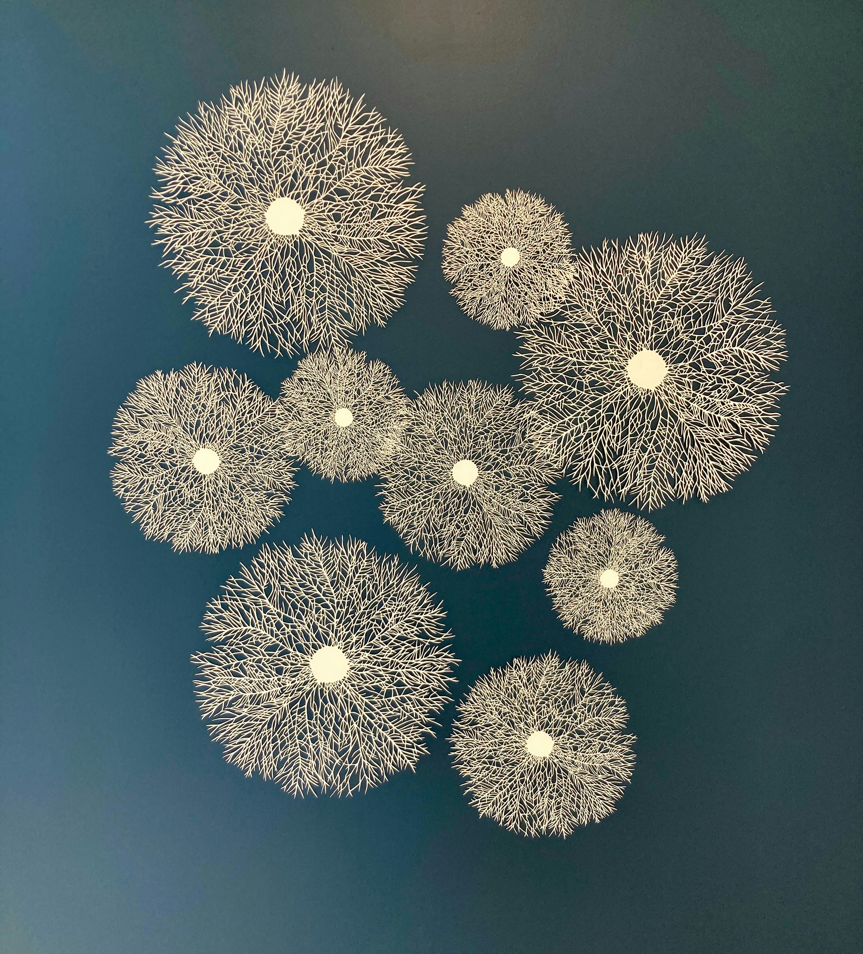 Motifs floraux blancs sur fond bleu foncé