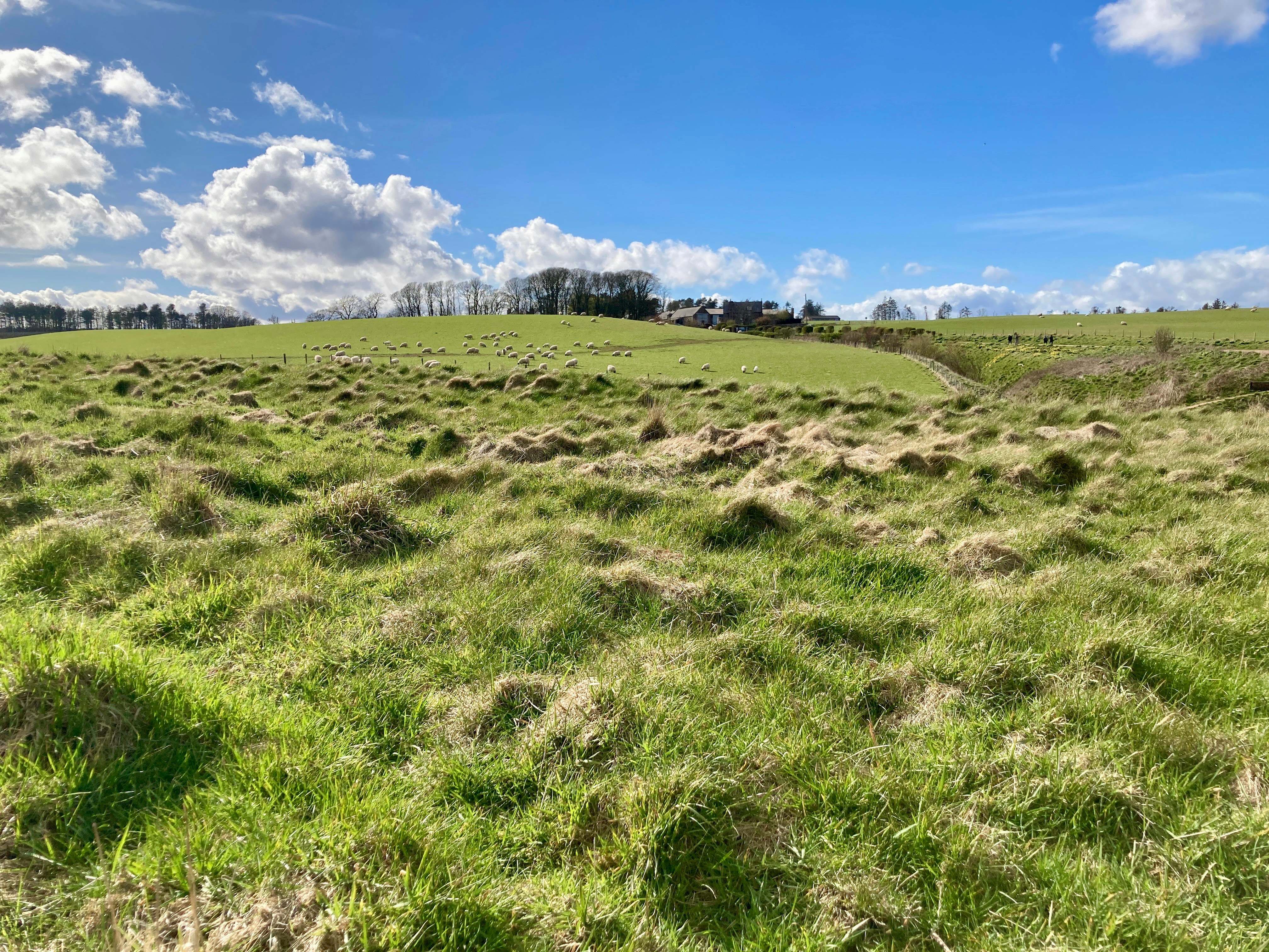Collines verdoyantes sous un ciel bleu avec des nuages