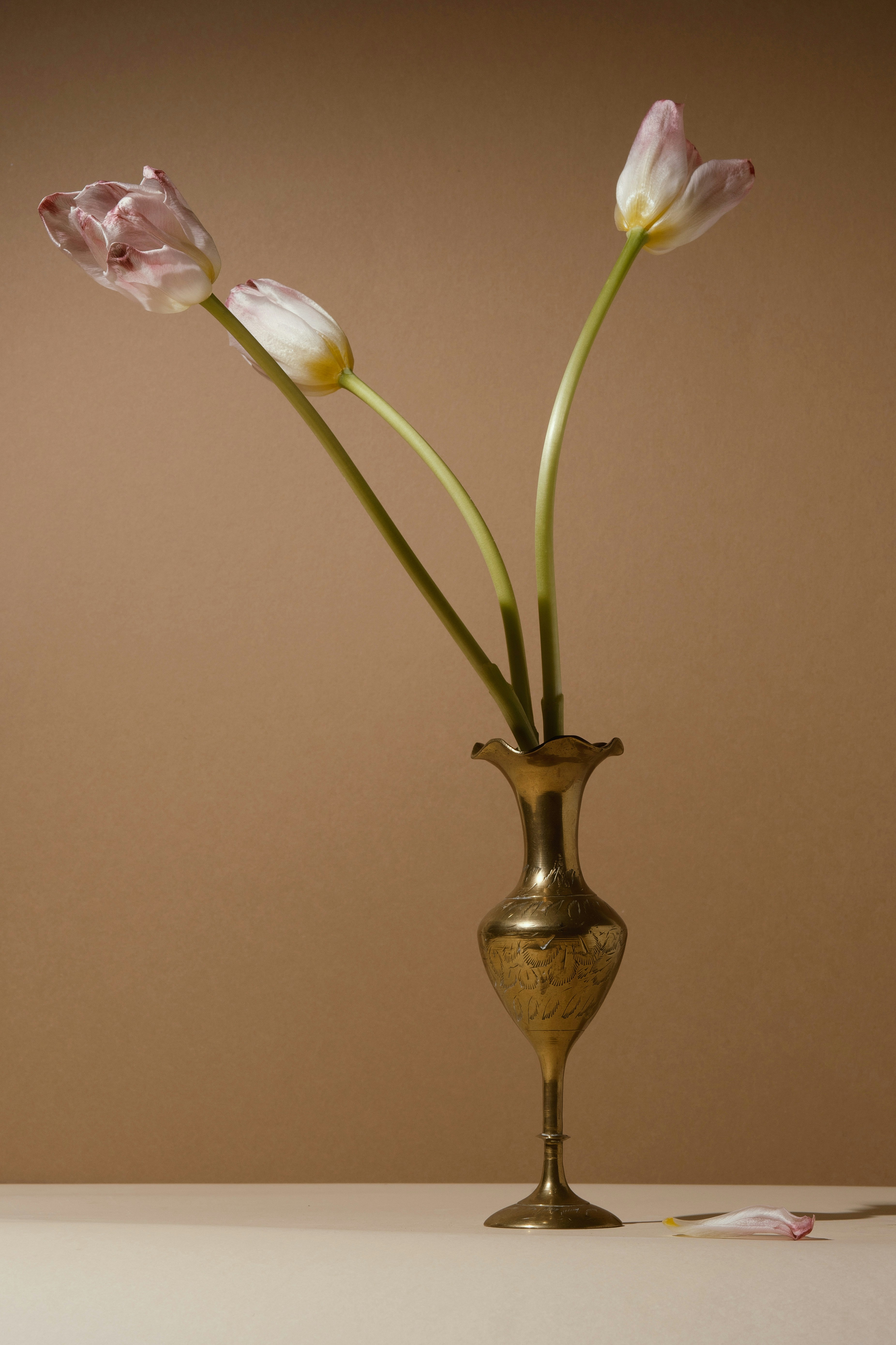 Three wilting tulips in a brass vase on a table.