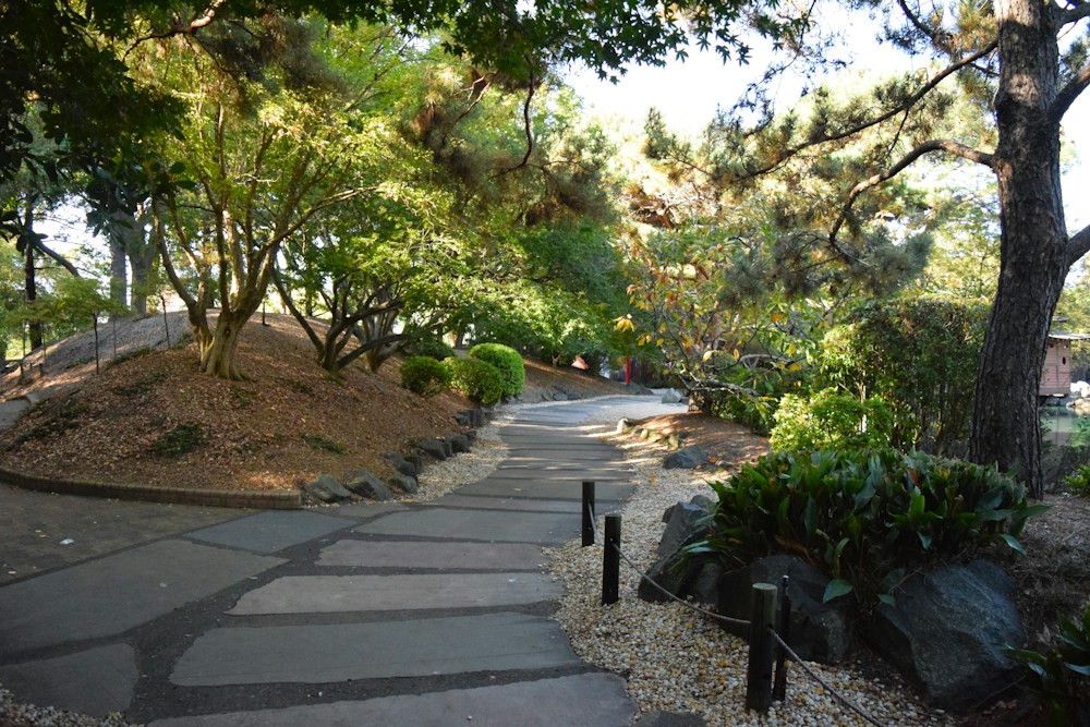 Winding stone path through lush green planting