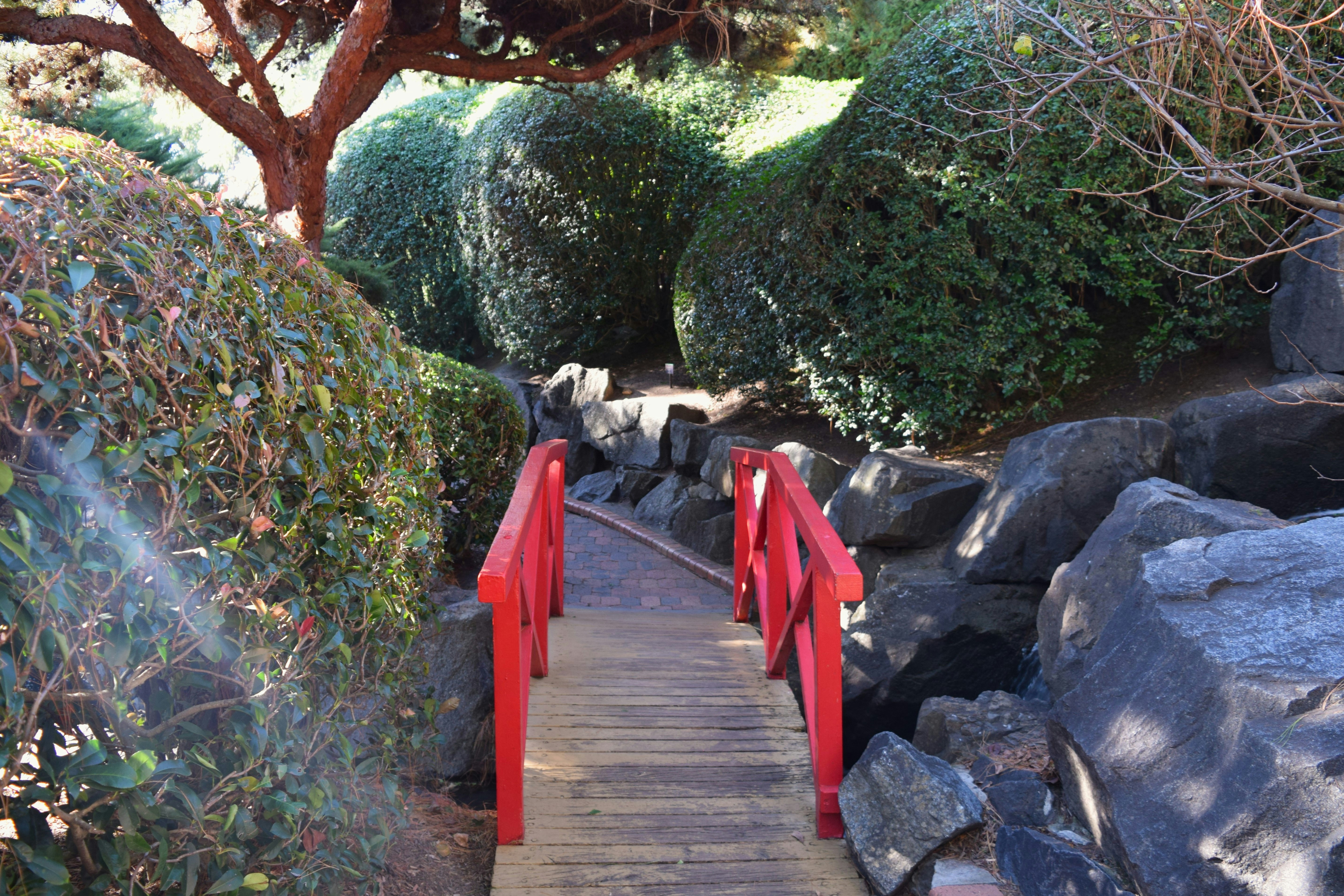 Un puente de madera con barandillas rojas en un jardín.
