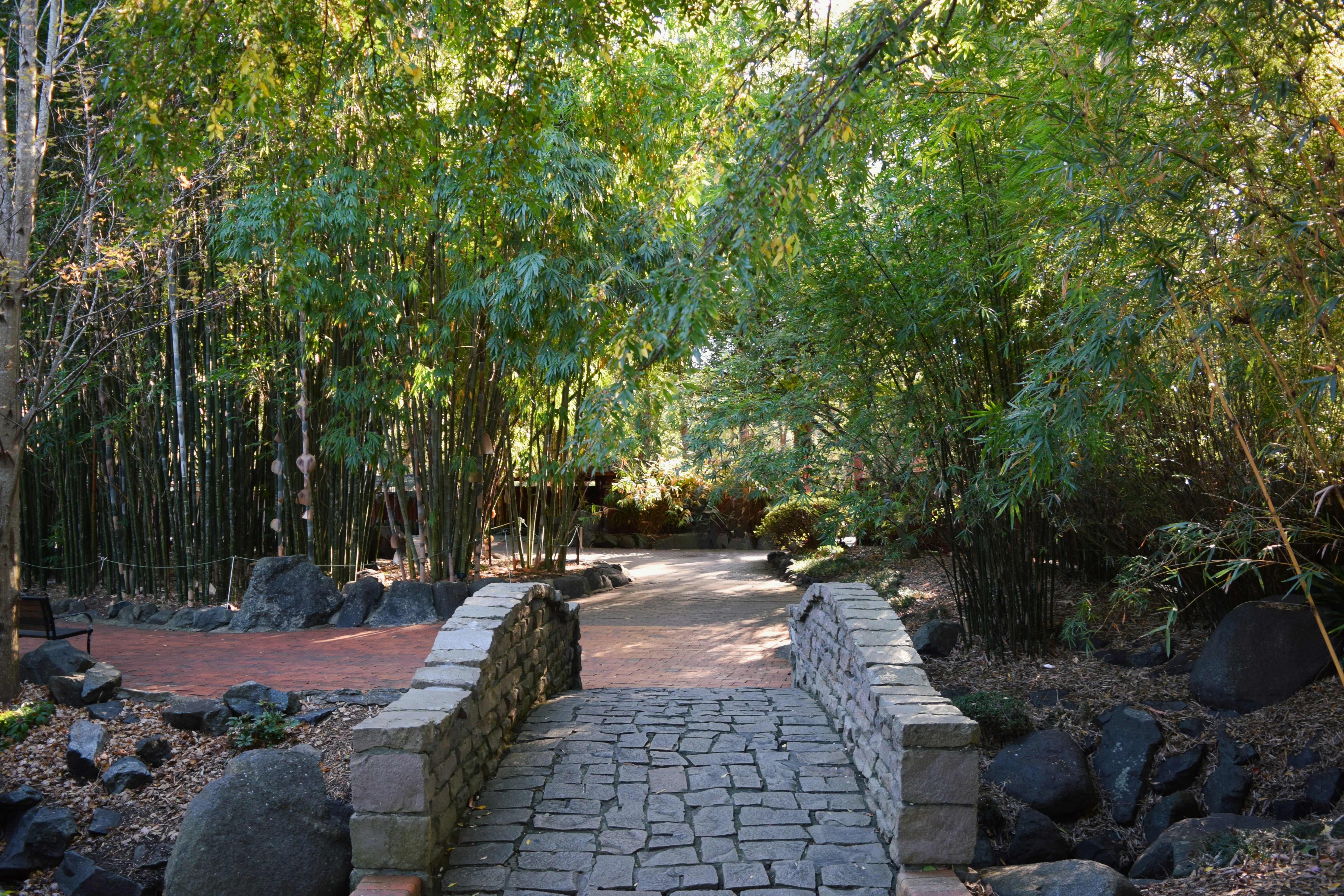 Puente de piedra sobre un arroyo en un bosque de bambú