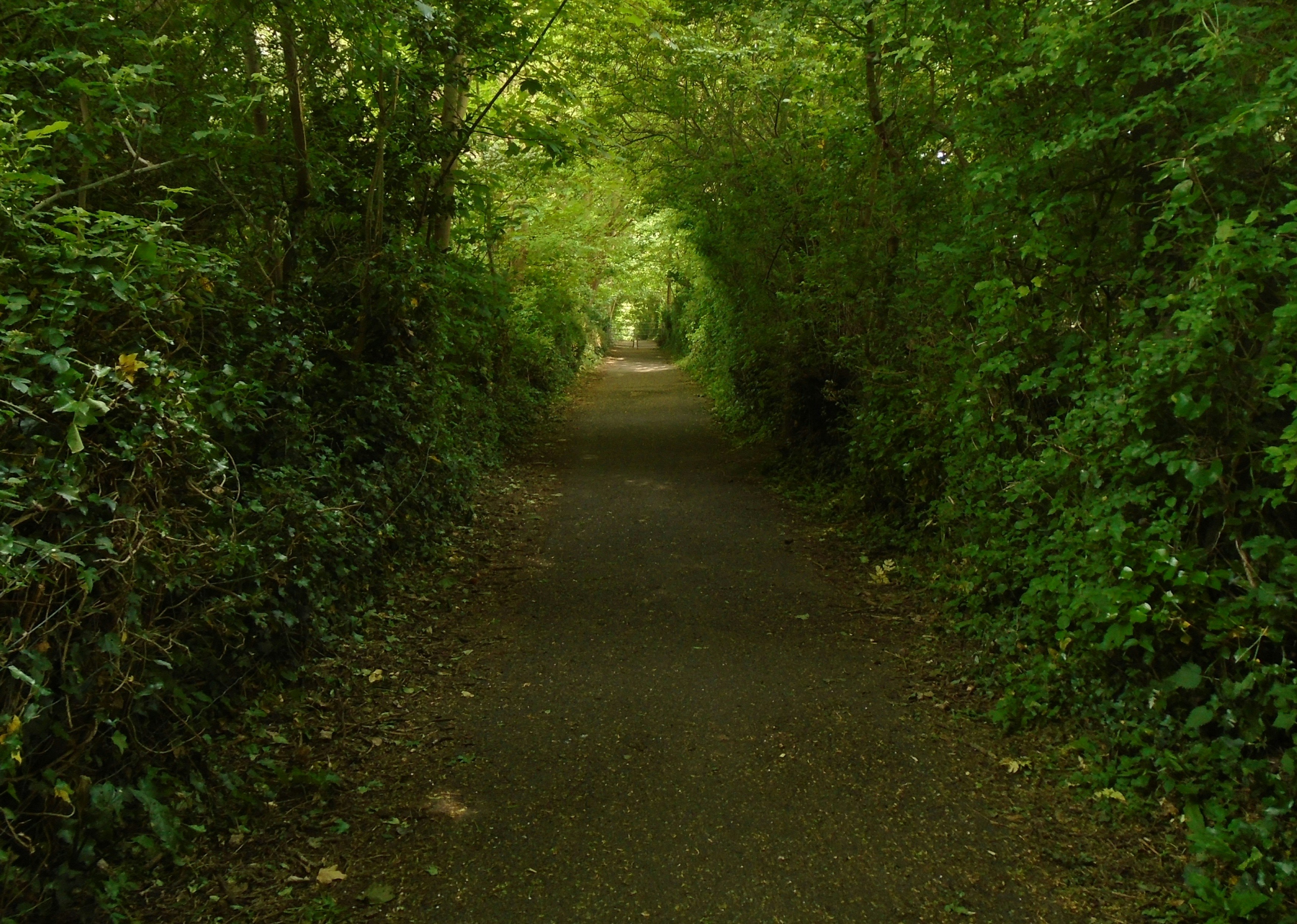 Photo by hiddenhollows