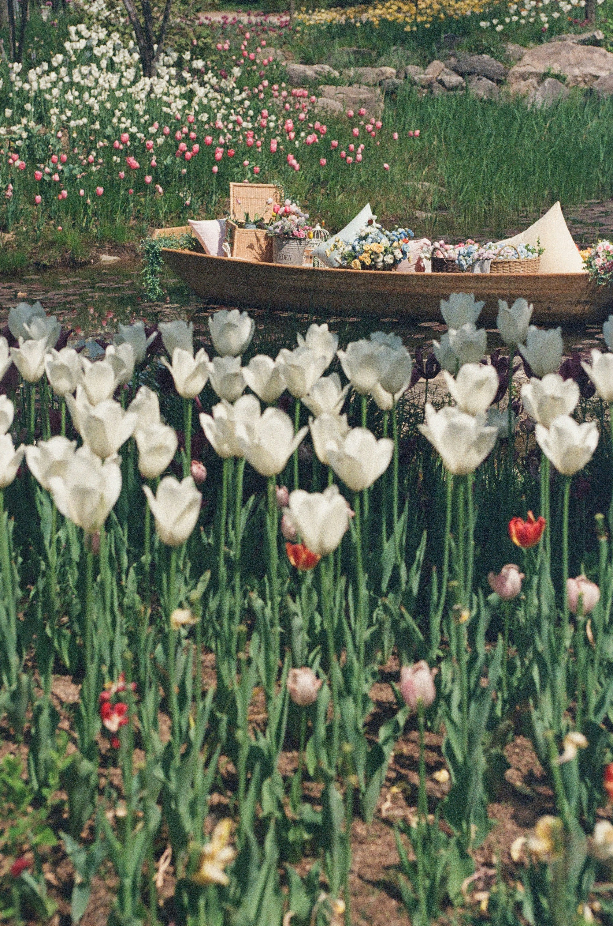 A wooden boat filled with flowers in a garden.