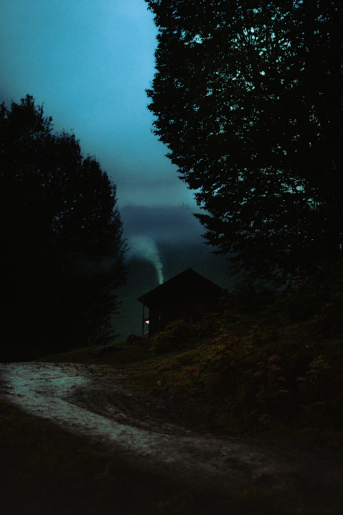 A cabin in the woods with smoke rising from the chimney
