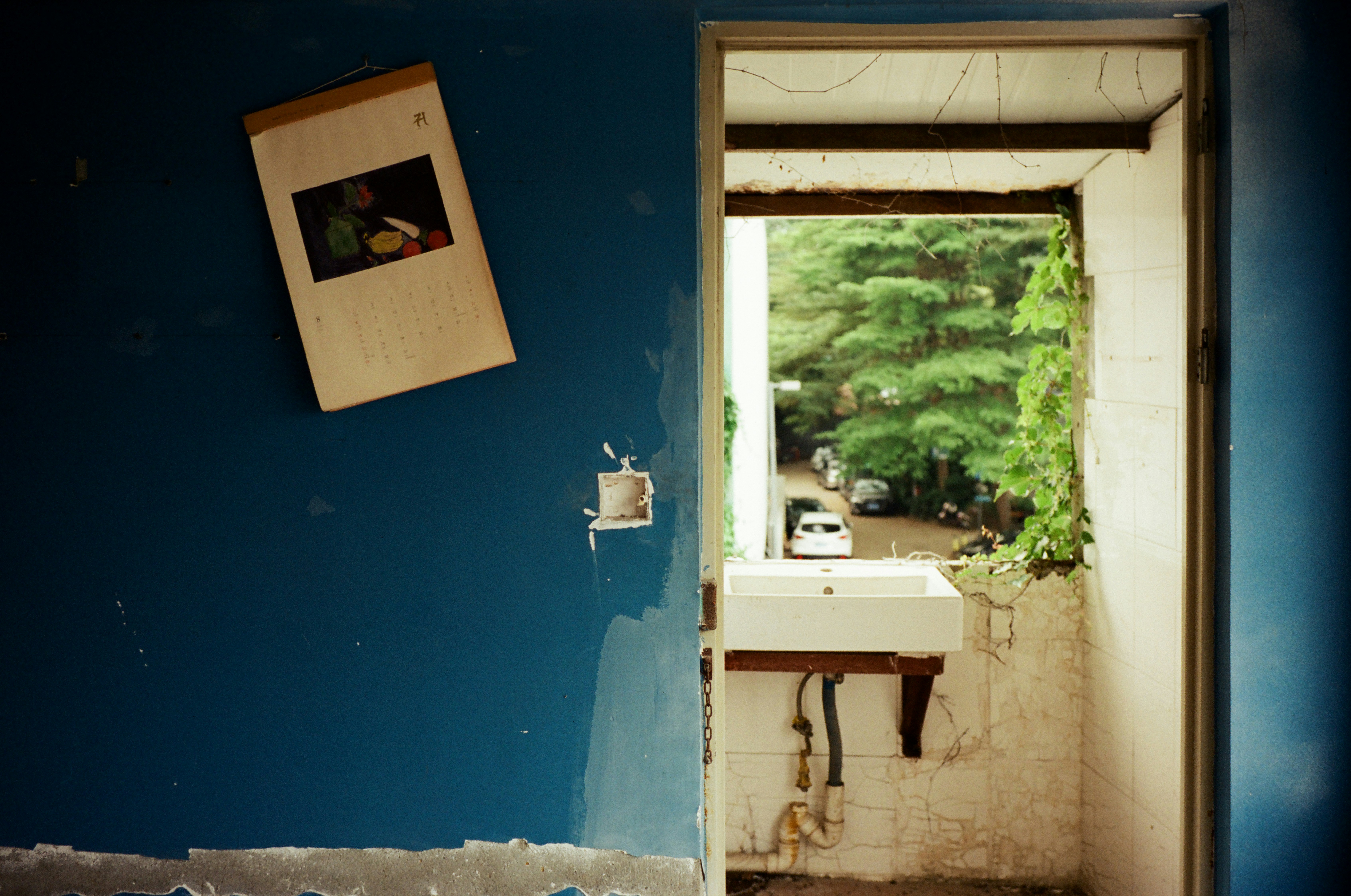 Interior with sink and framed art on blue wall