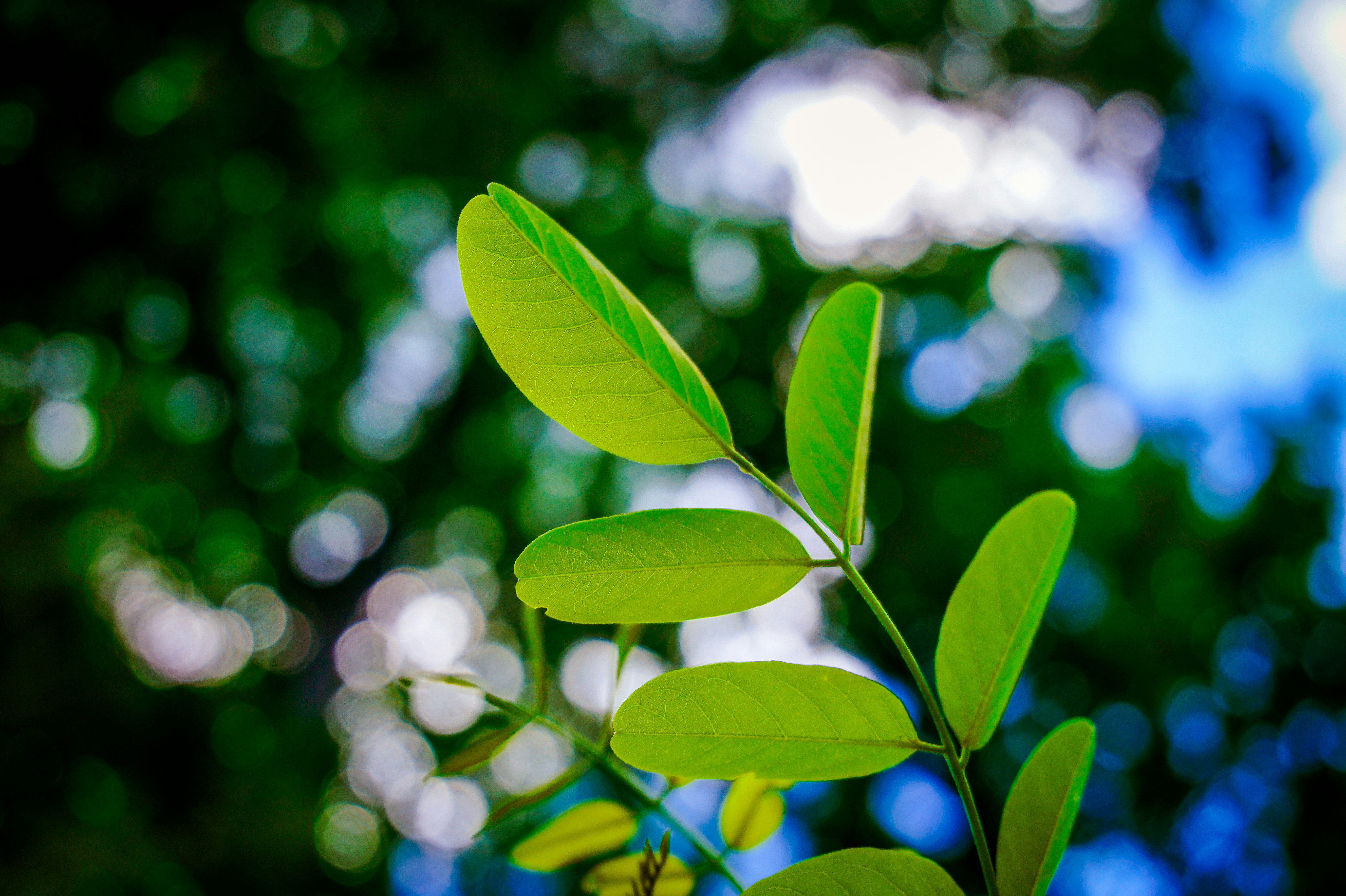 Photo by steinman_photography