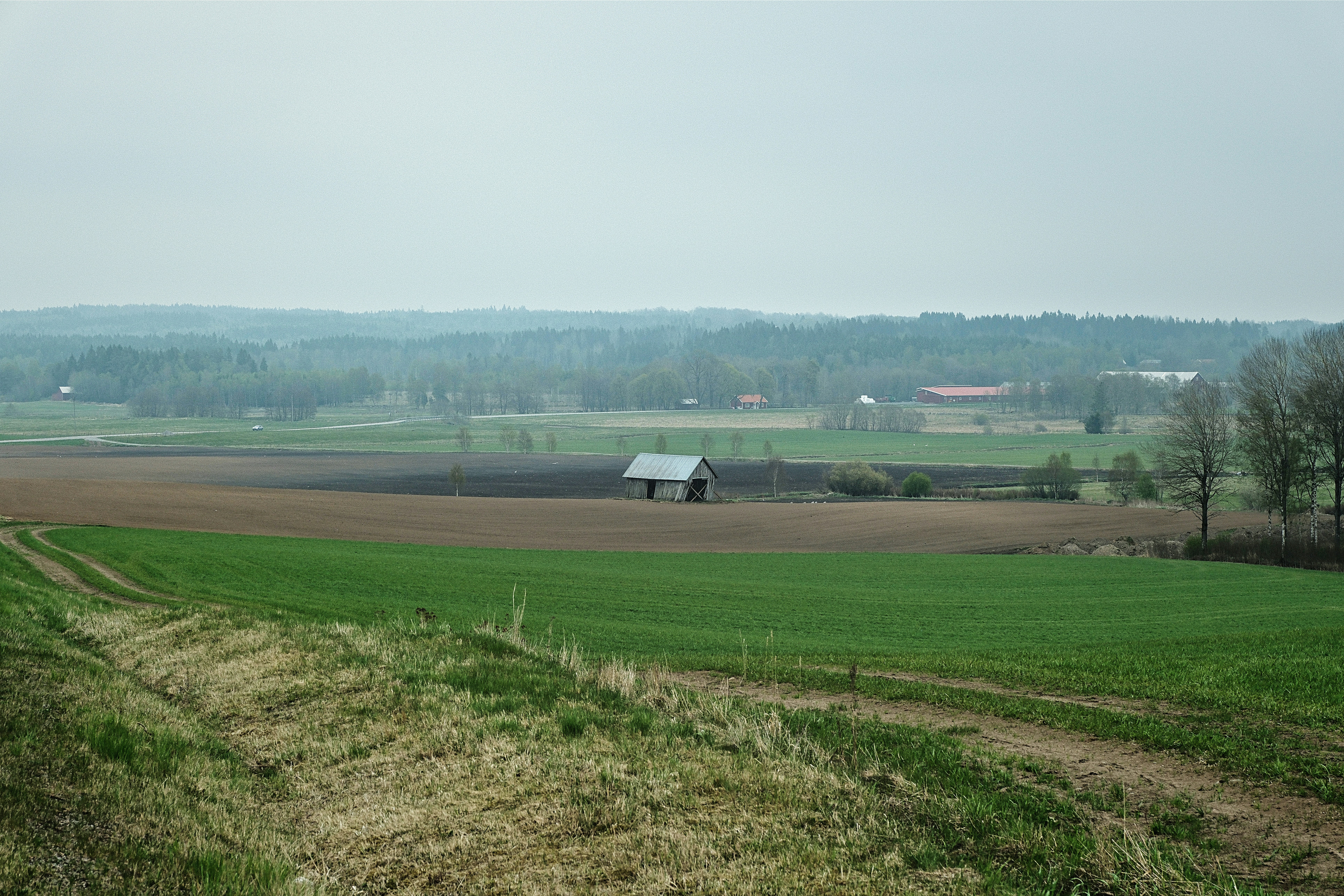 Photo by magnusjonasson