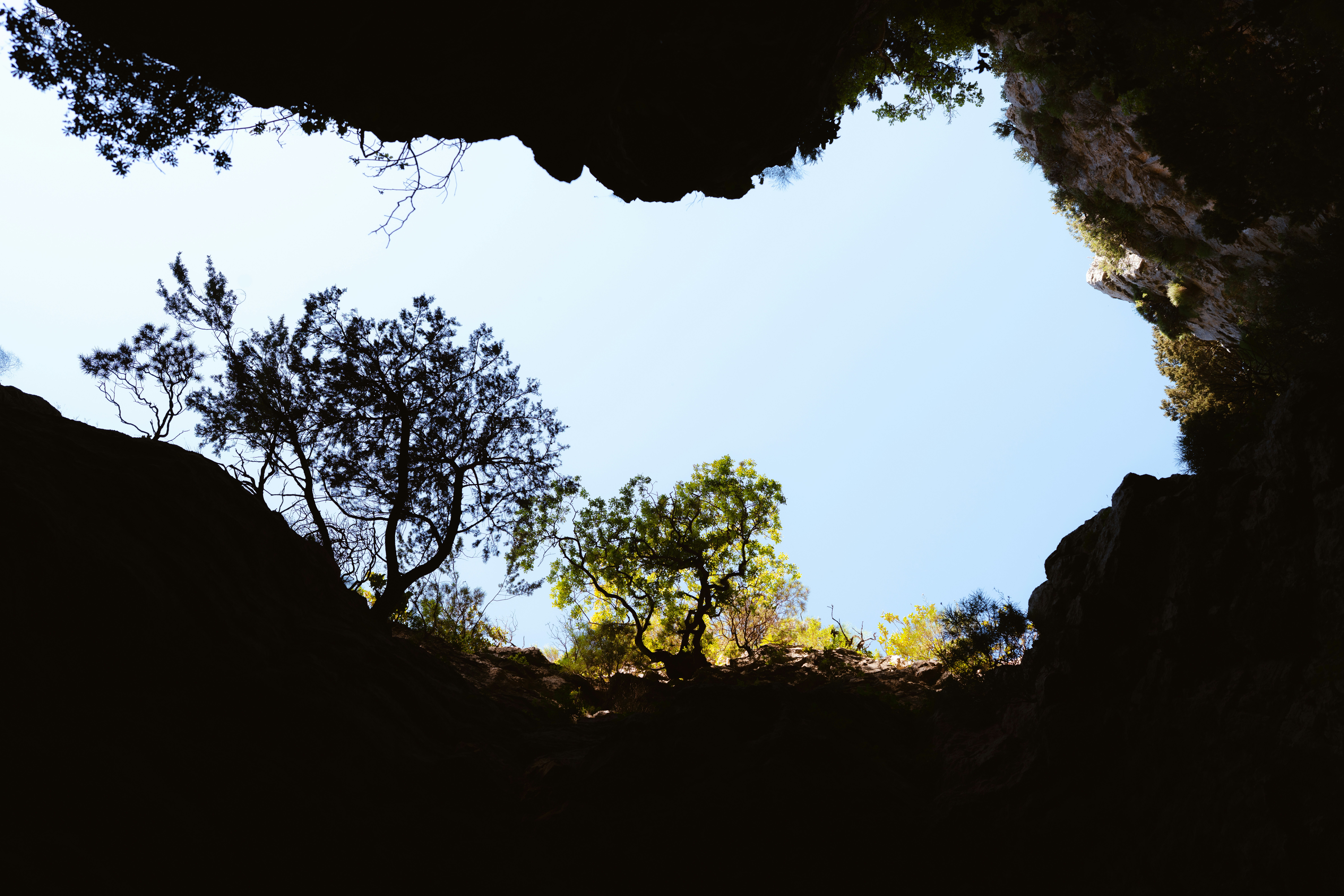 Von einer Höhle aus zu Bäumen und Himmel hinaufblicken