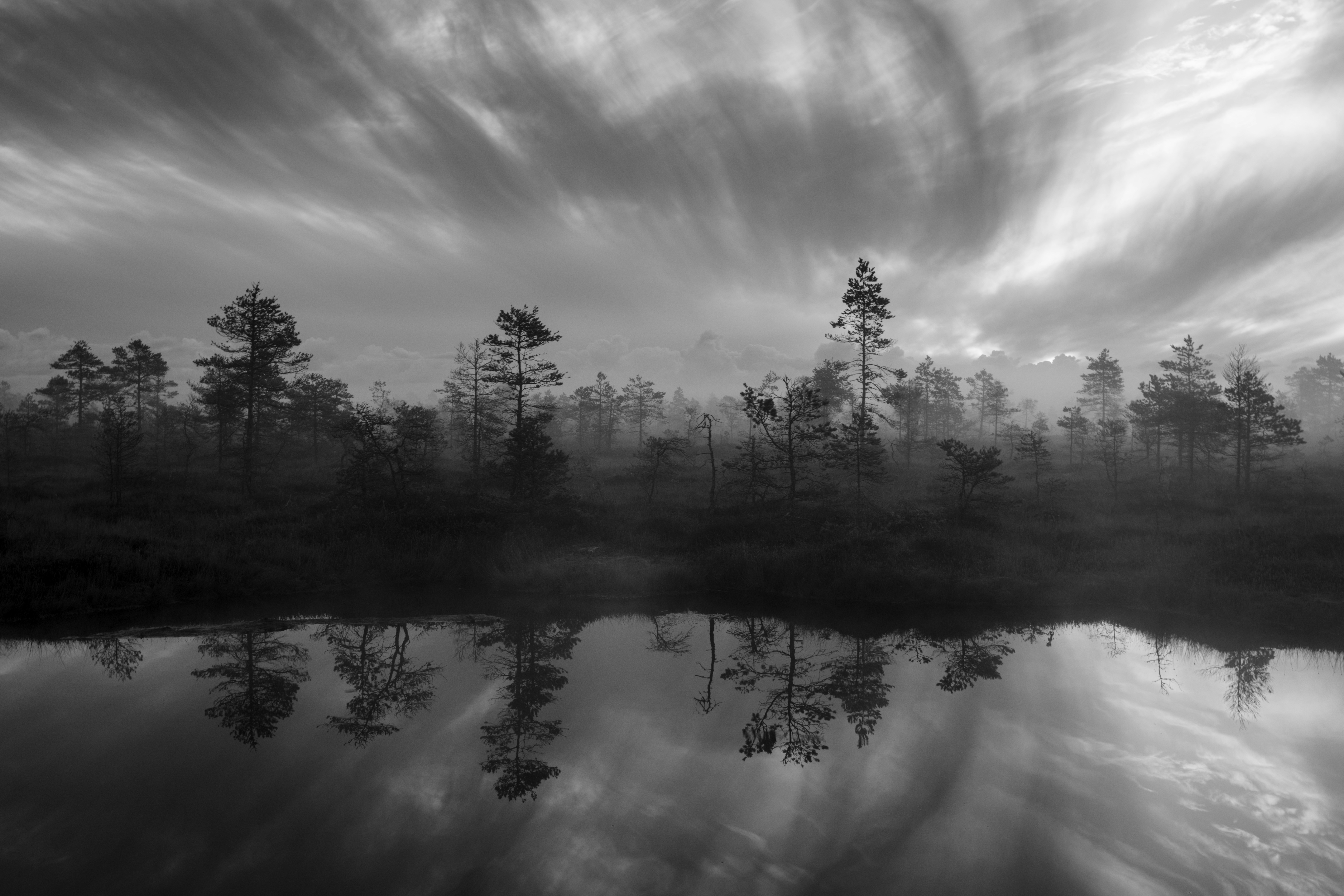 Paisaje boscoso brumoso con reflejos en el agua
