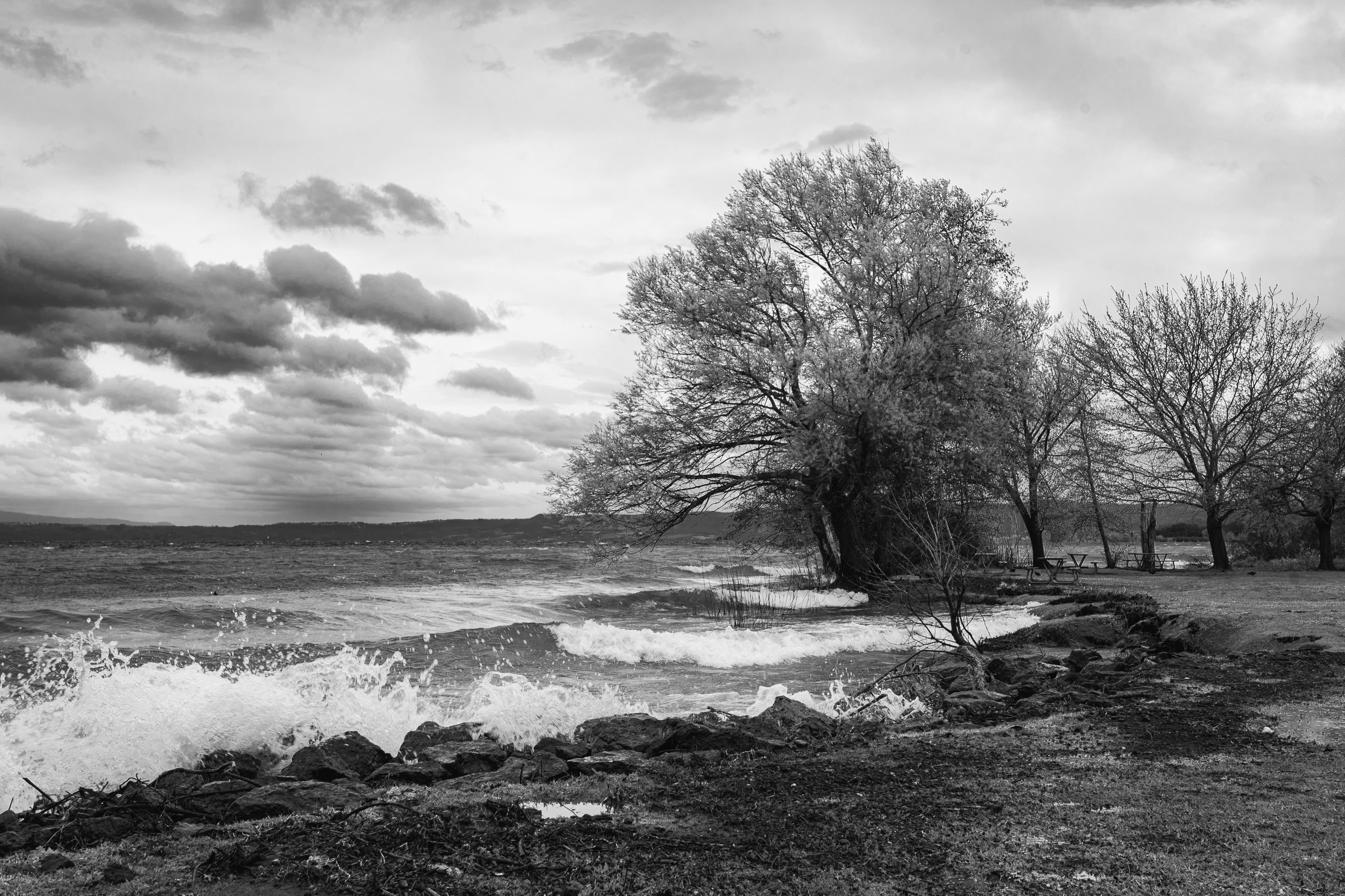 Photo by klaus20