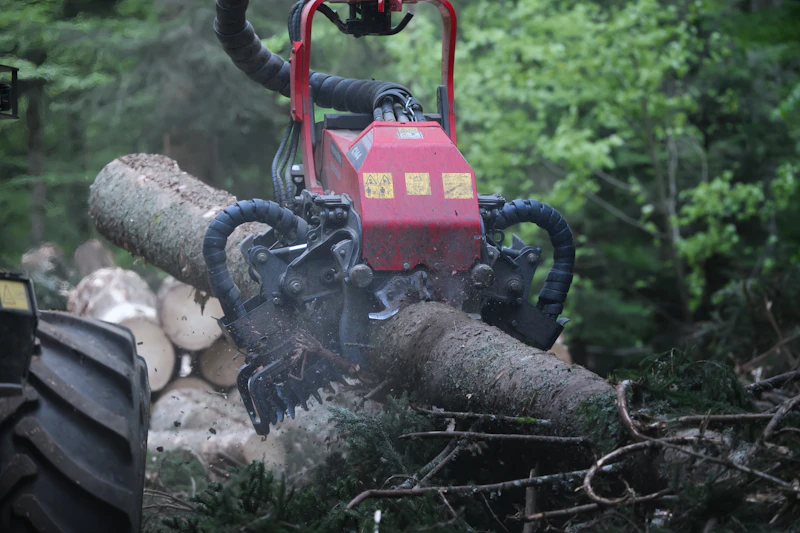 Heavy professional-grade forestry machine gripping and grinding through a thick log