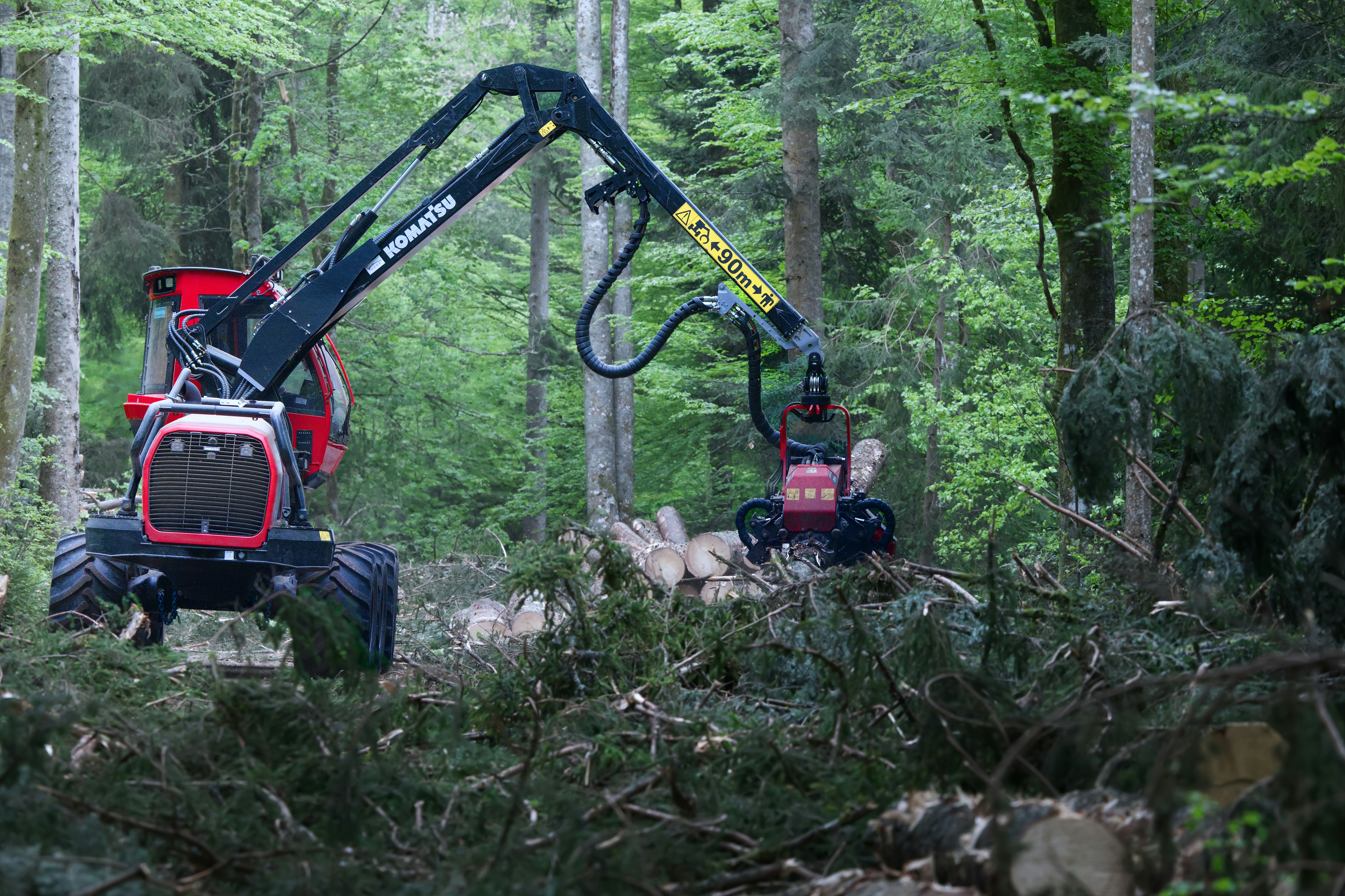 A logging machine operates in a dense forest.