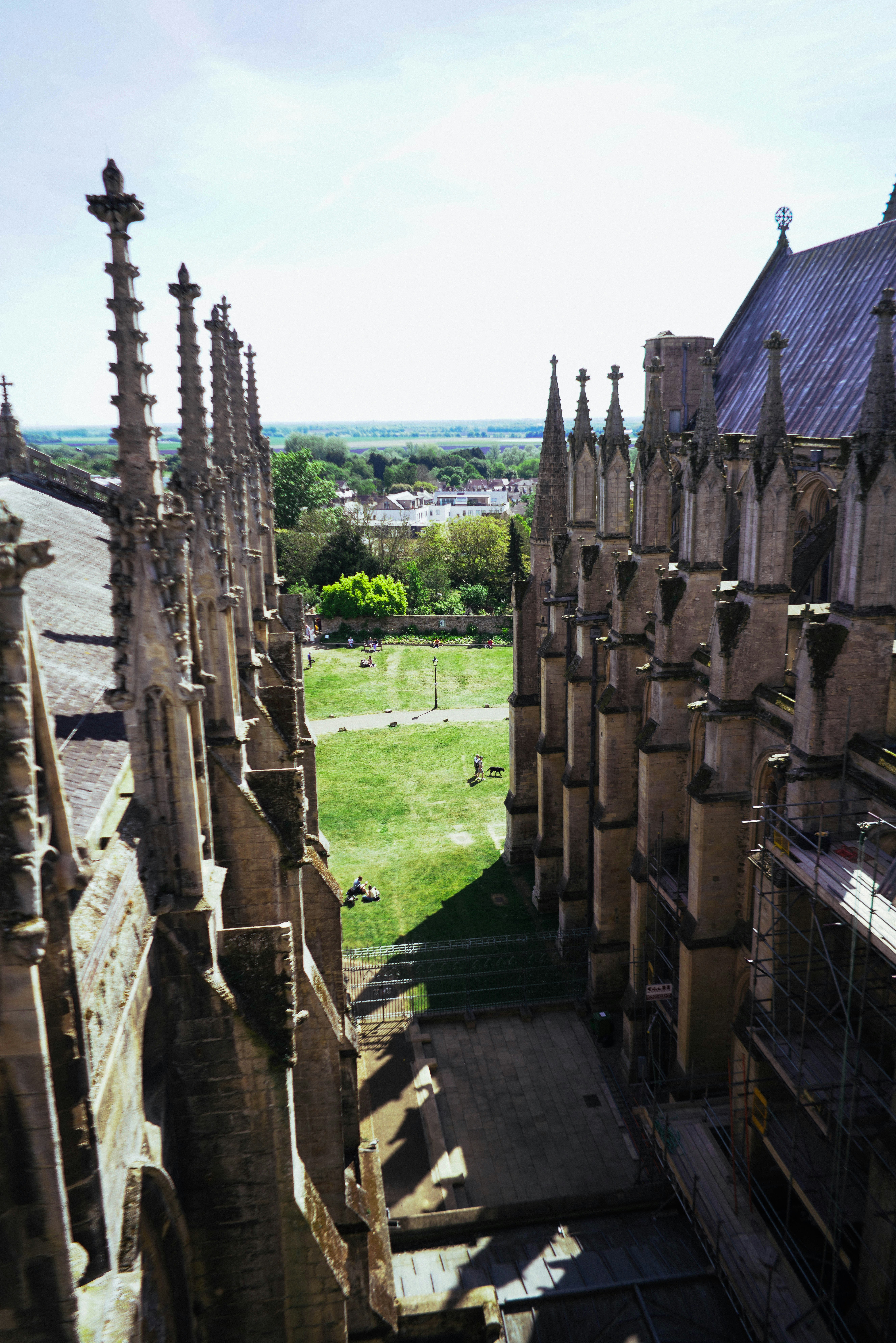 Gothic architecture with a green field and trees
