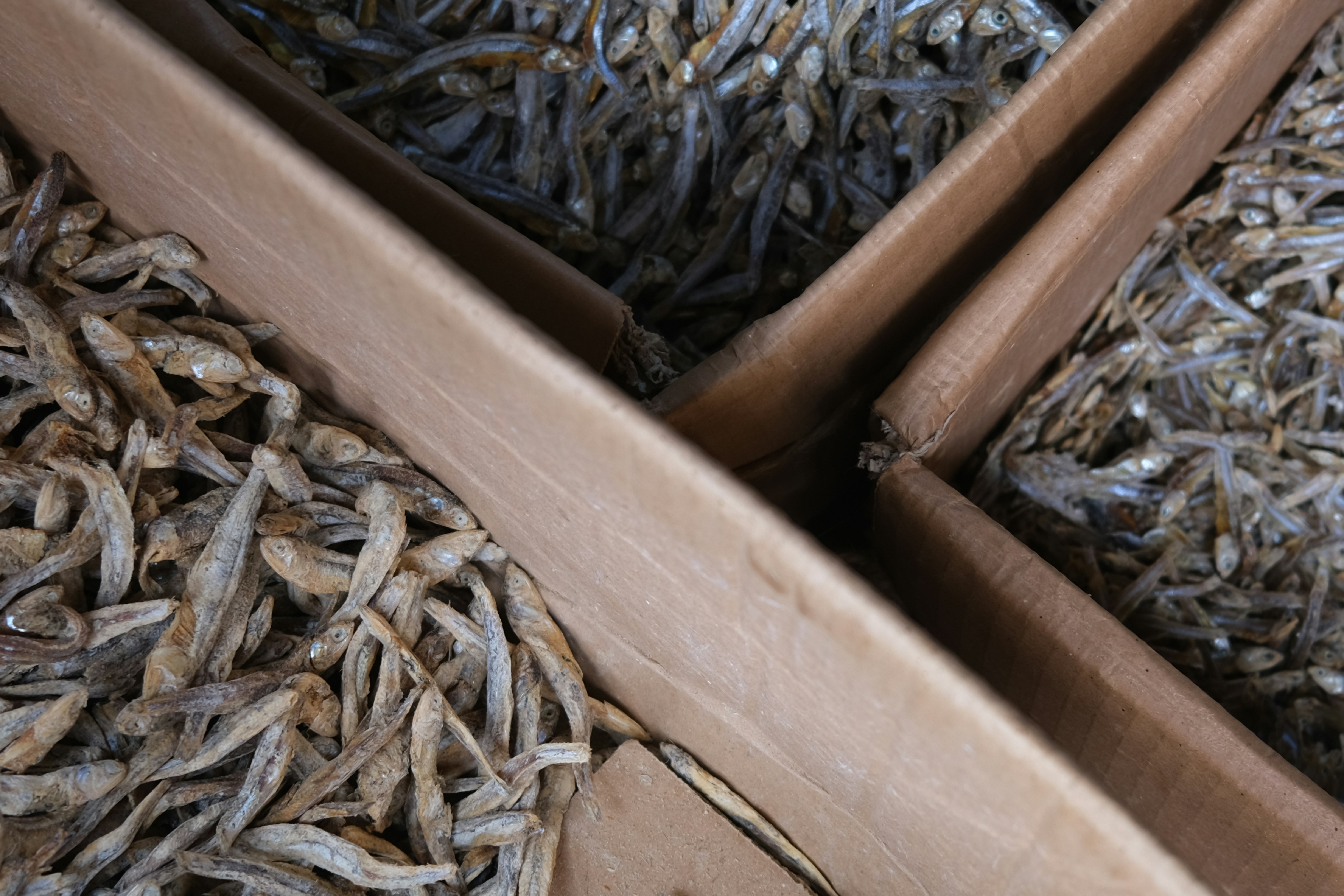 Petits poissons séchés emballés dans des caisses en bois