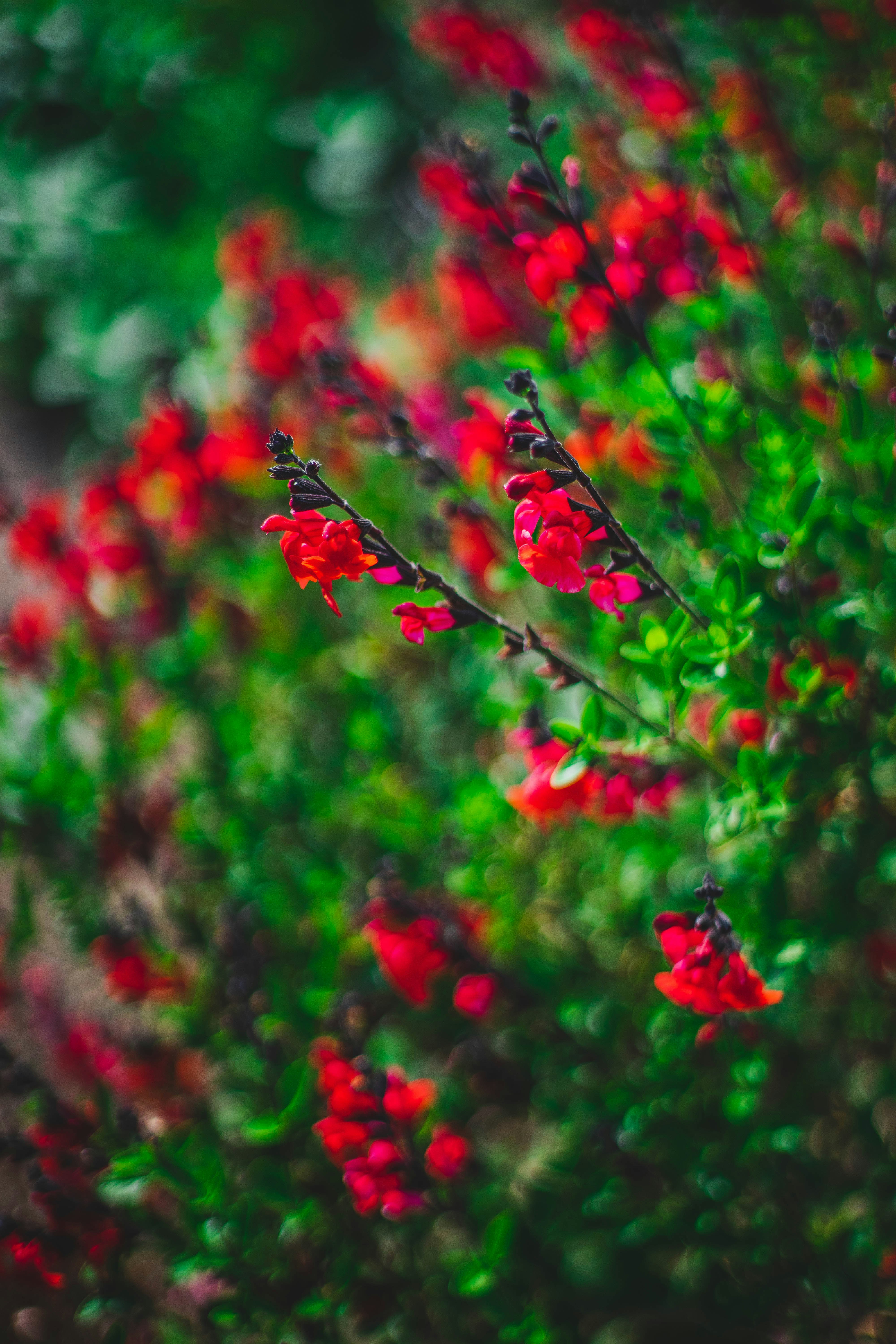 Photo by raduioaniancu