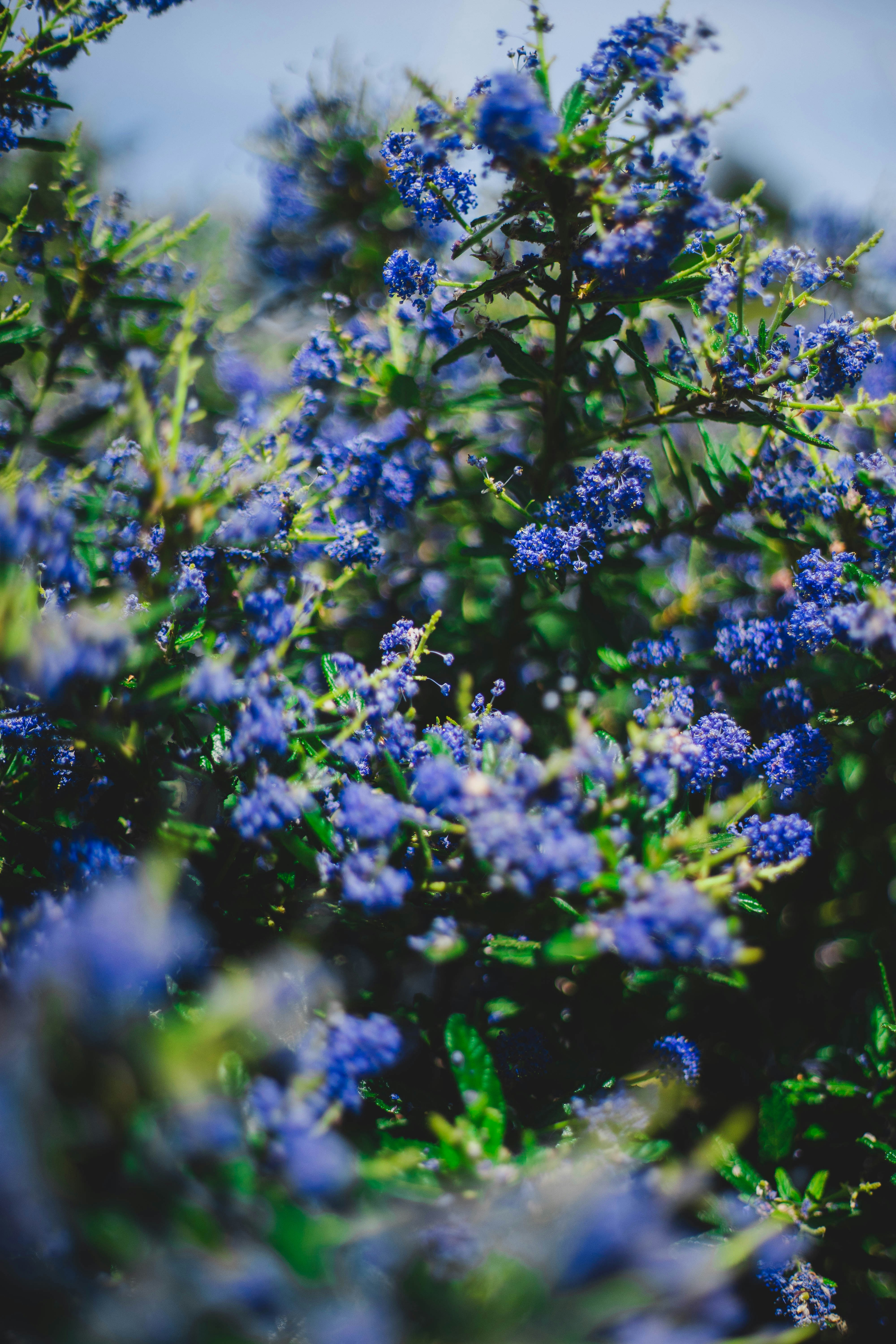 Photo by raduioaniancu