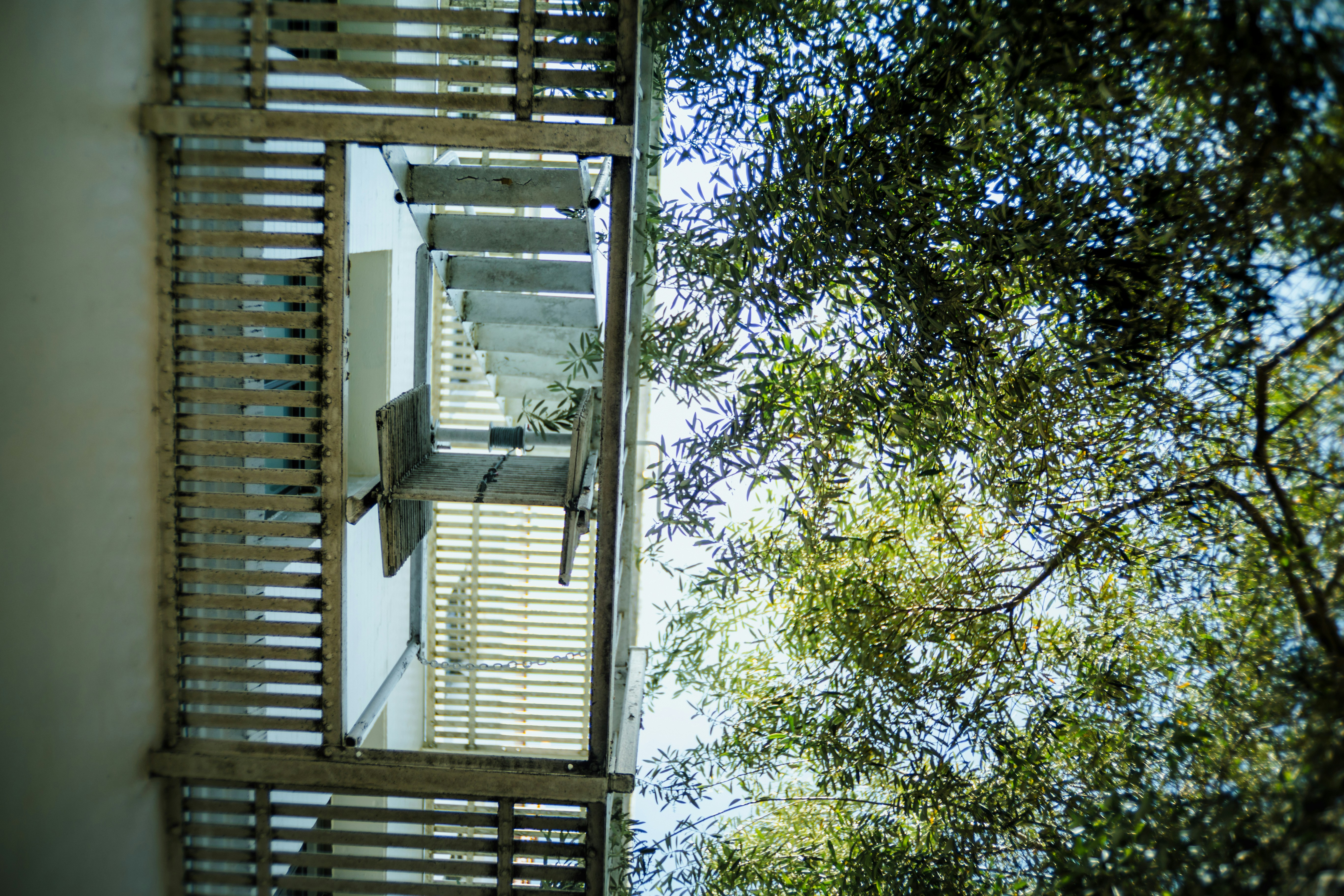 Looking up at metal stairs and green trees