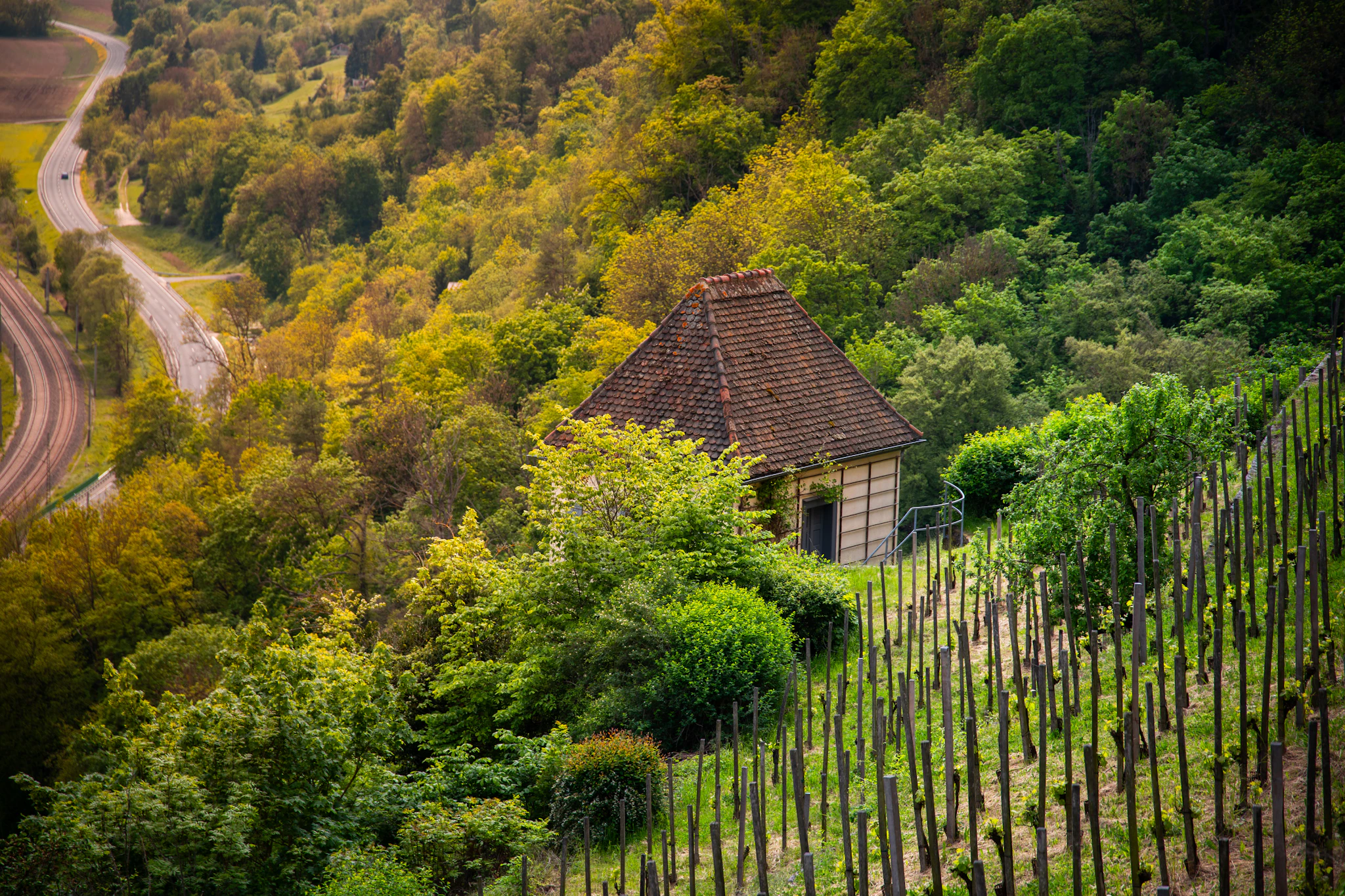 Steiermark