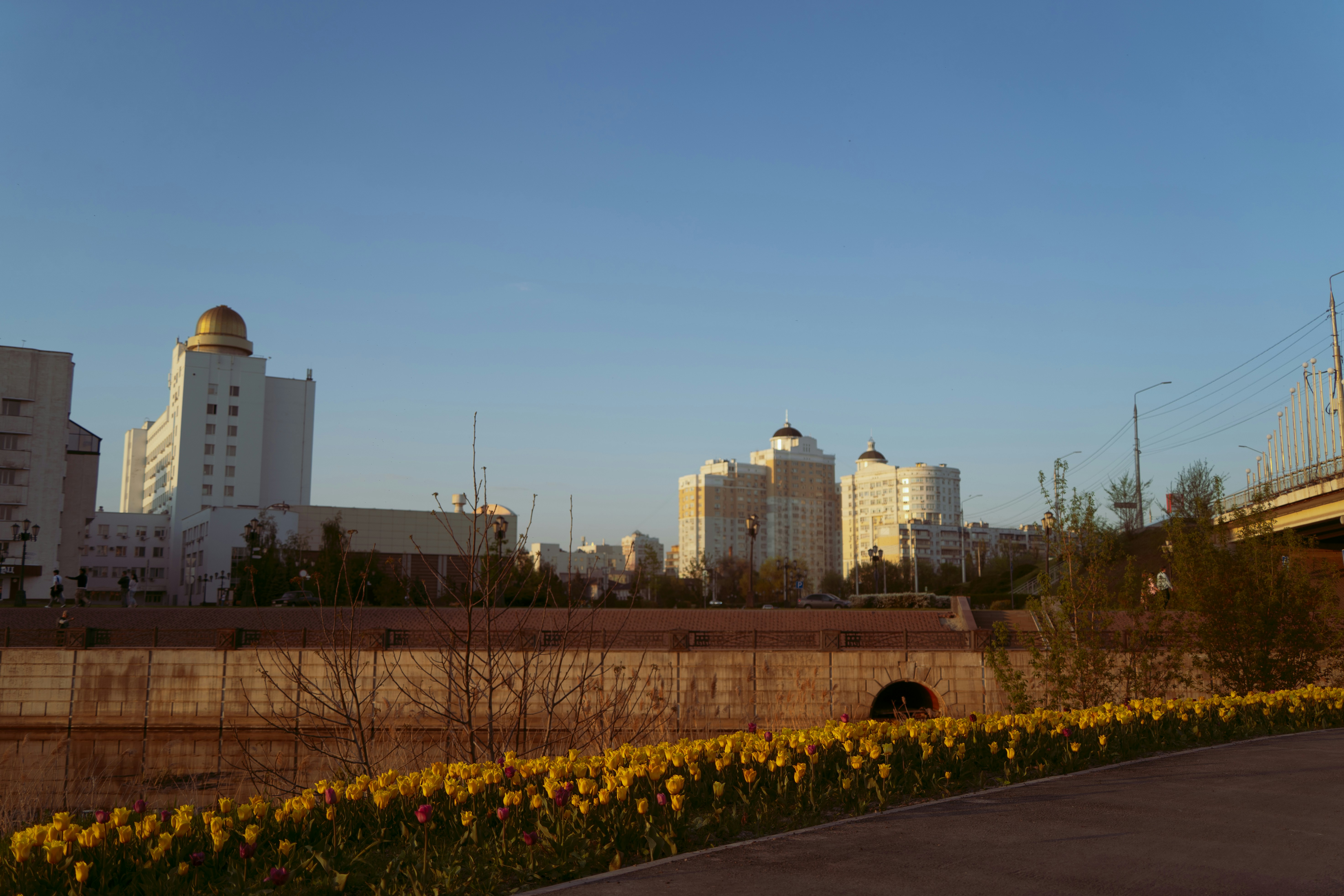 Photo by maks_d