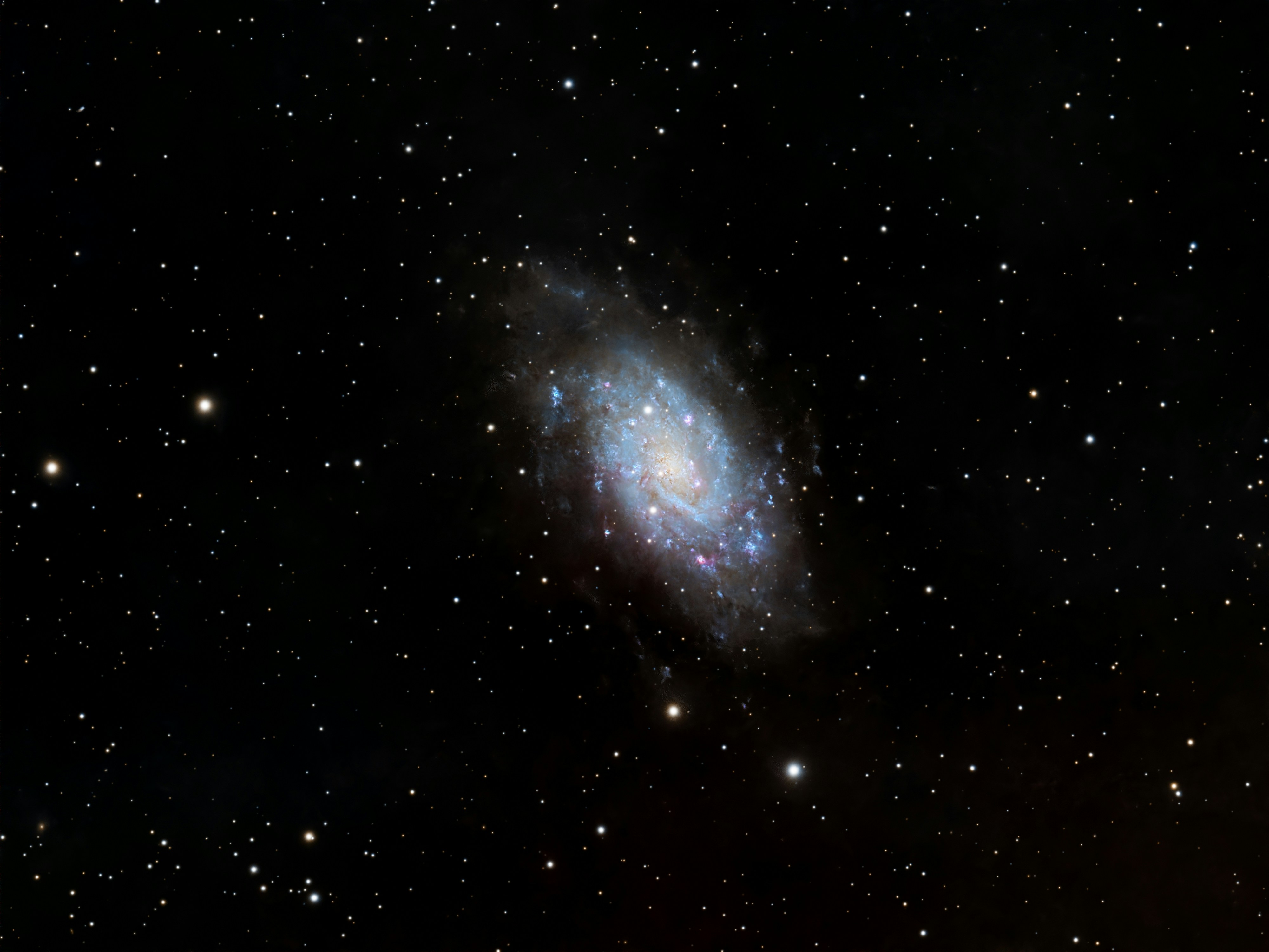 Photo of A spiral galaxy surrounded by countless stars. by Steve Busch