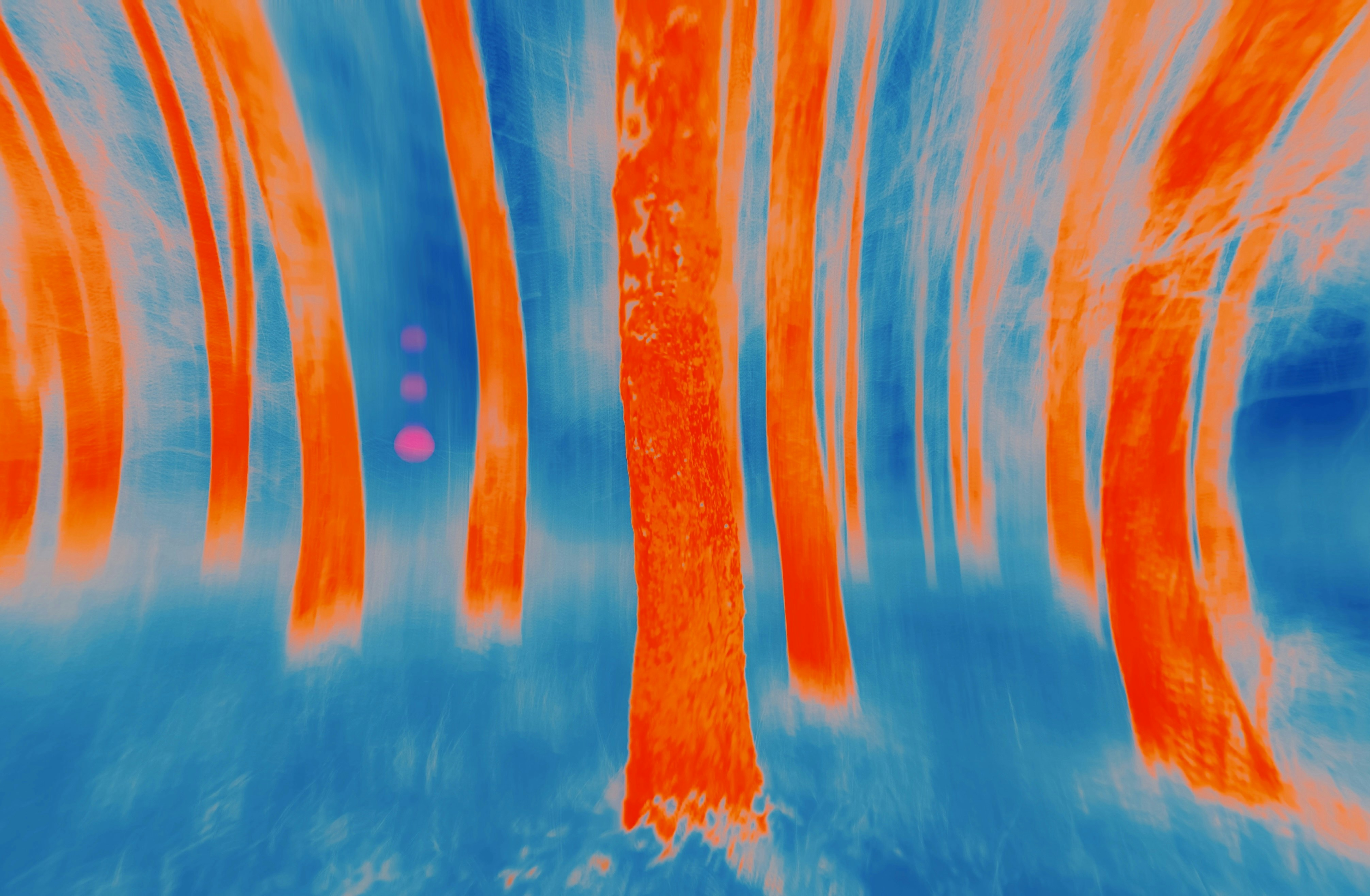 Abstract forest with blurred orange trees and blue background