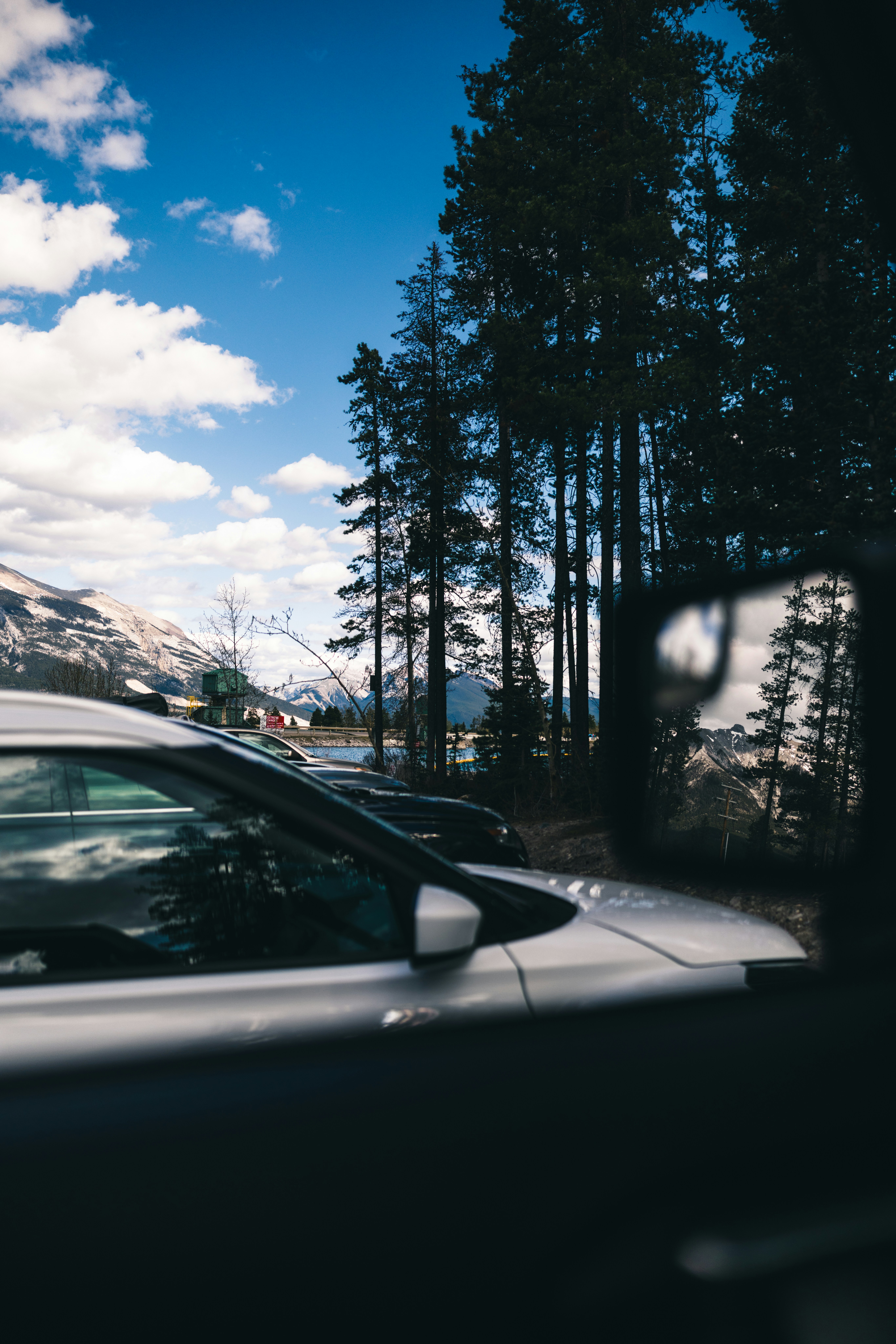 Auto parcheggiate vicino ai pini con montagne sullo sfondo.