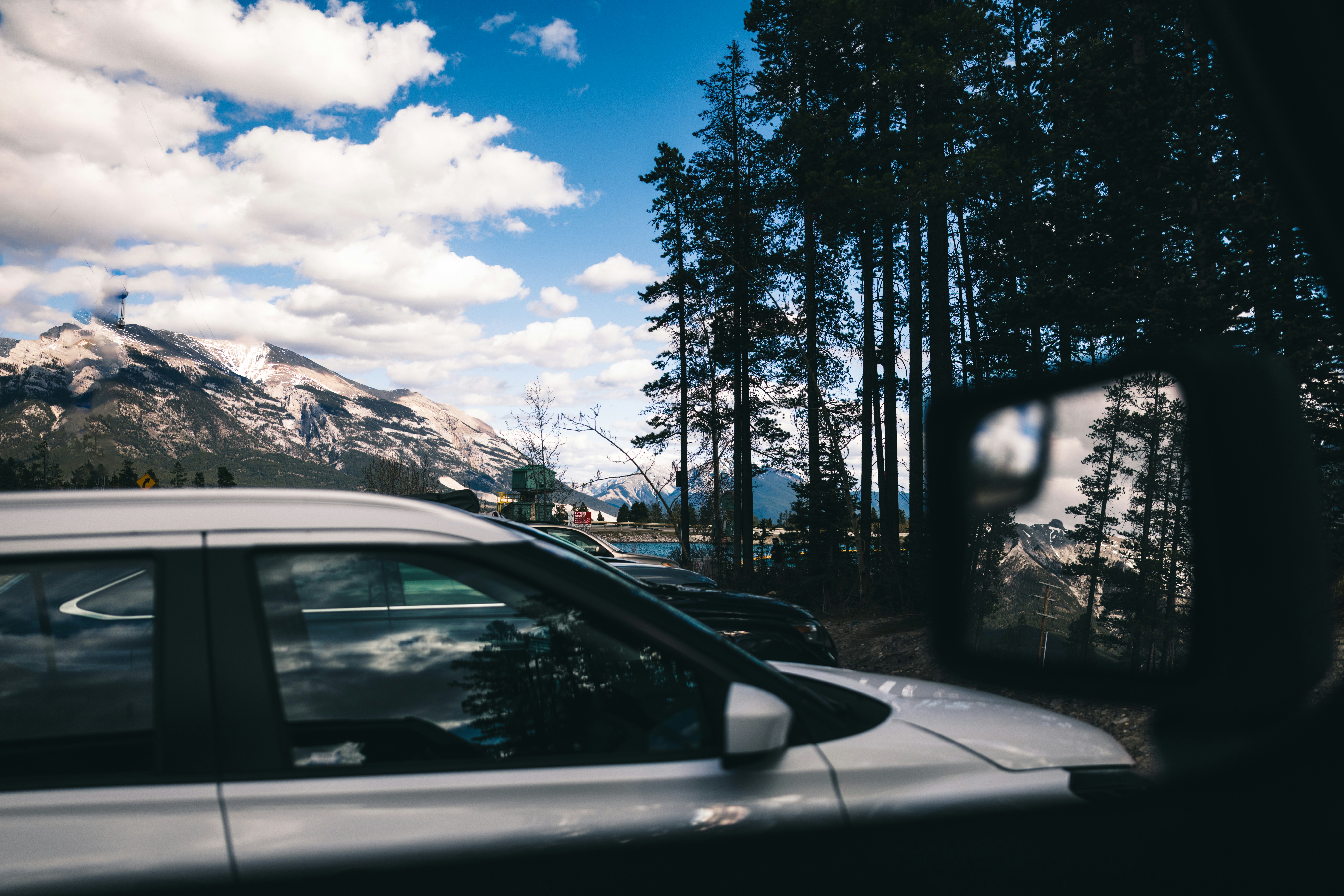 Auto parcheggiate vicino a una foresta montuosa