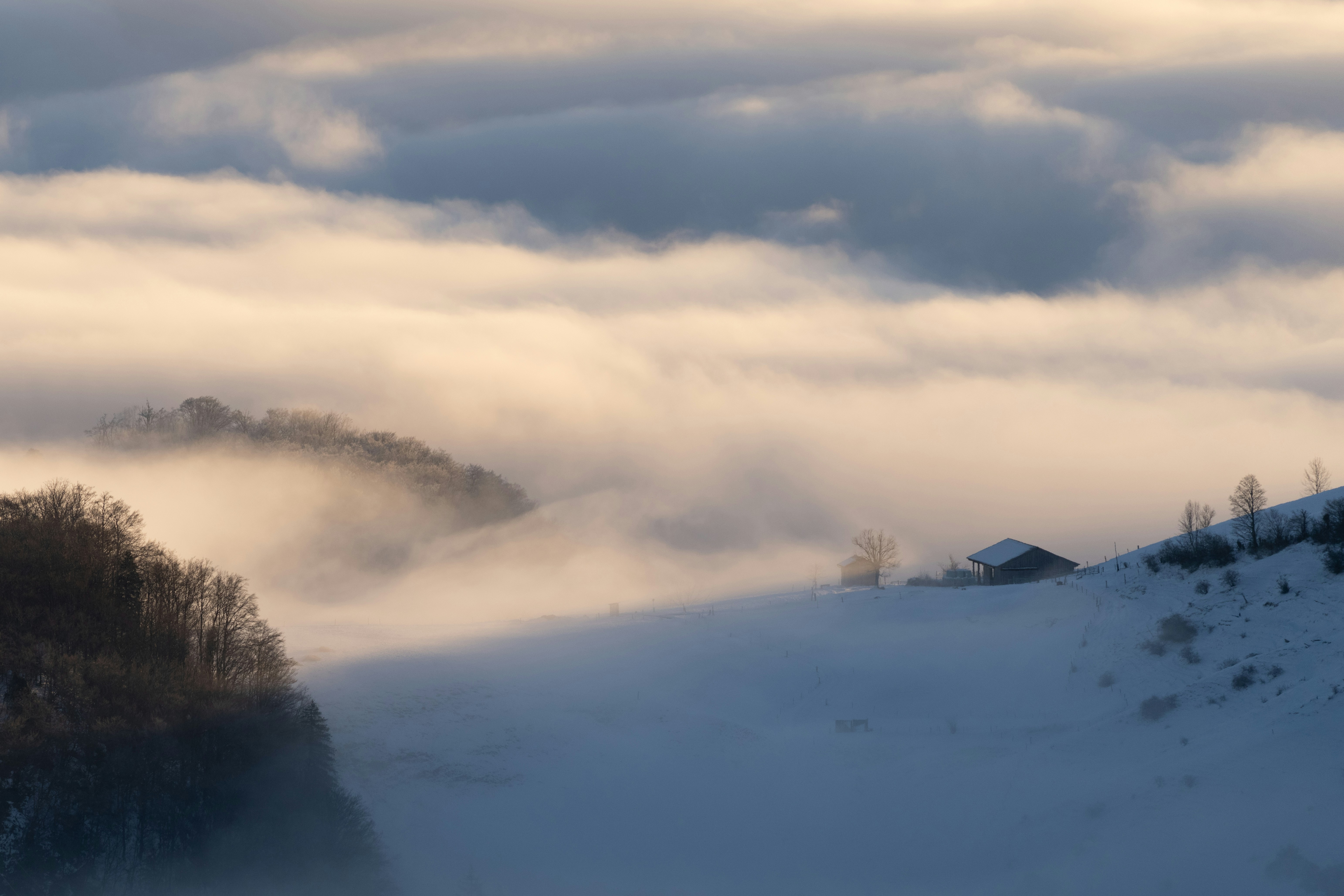 Photo by purzlbaum