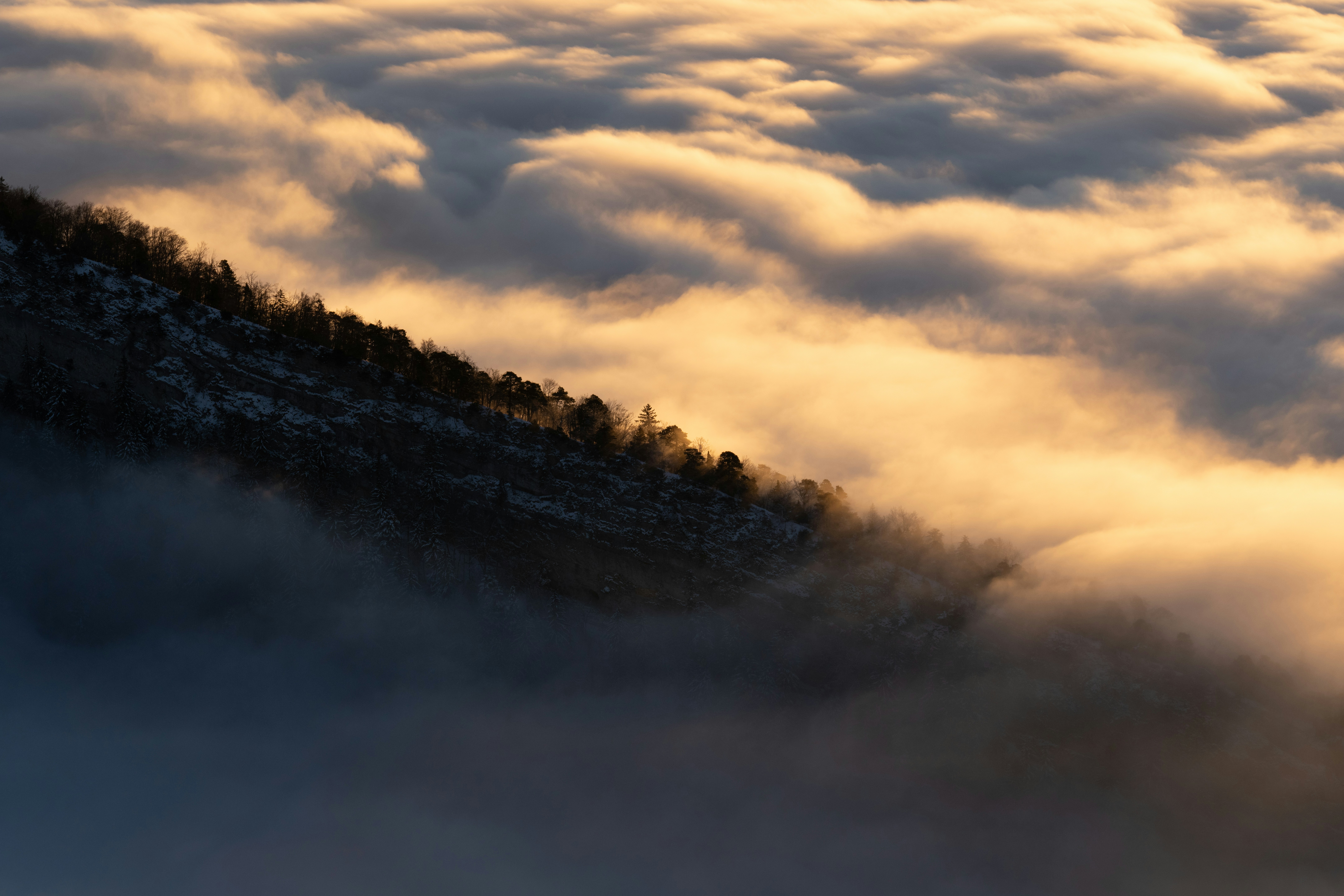 Mountain peak emerging from golden clouds at sunrise.