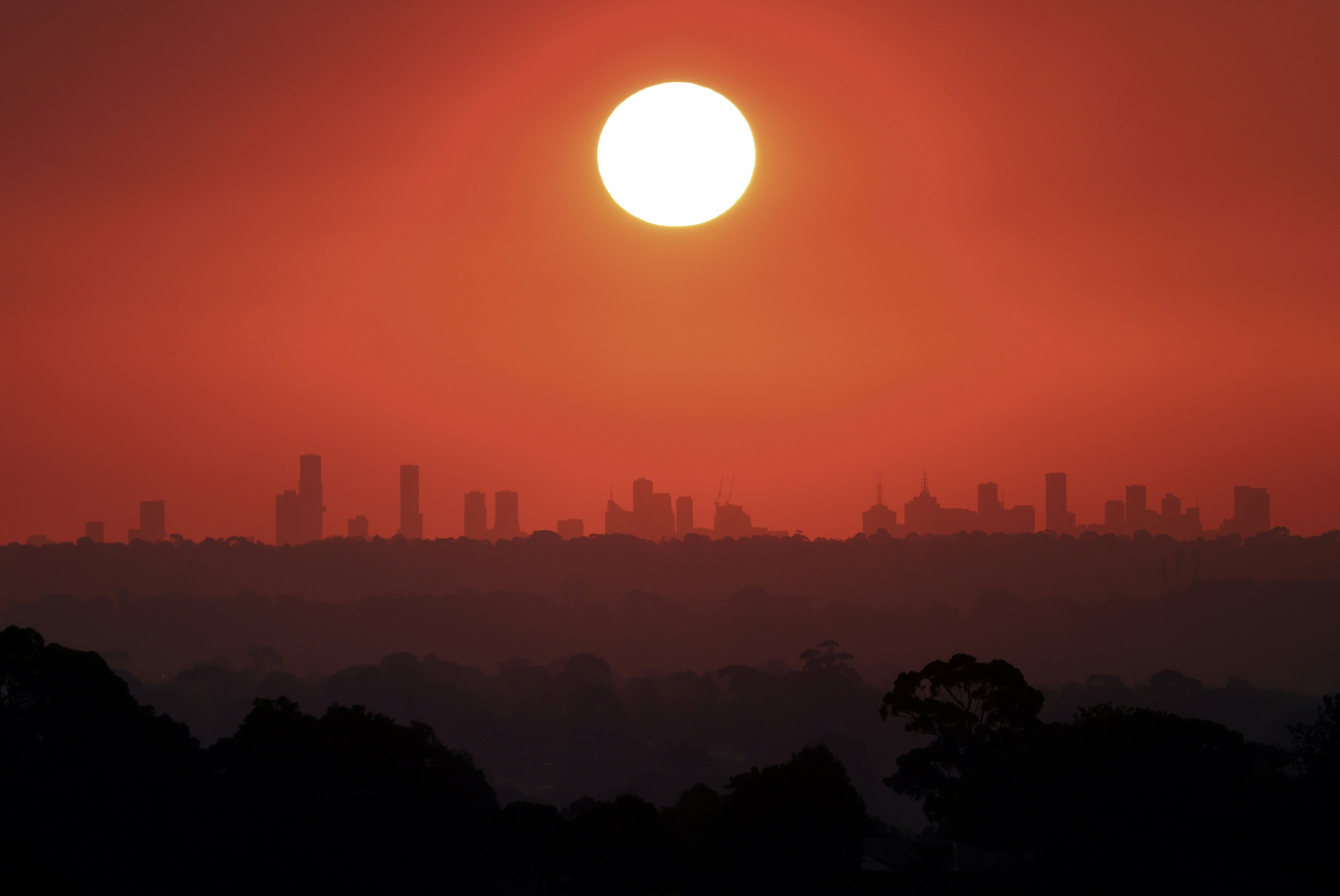Red sunset over distant city skyline and dark forest.