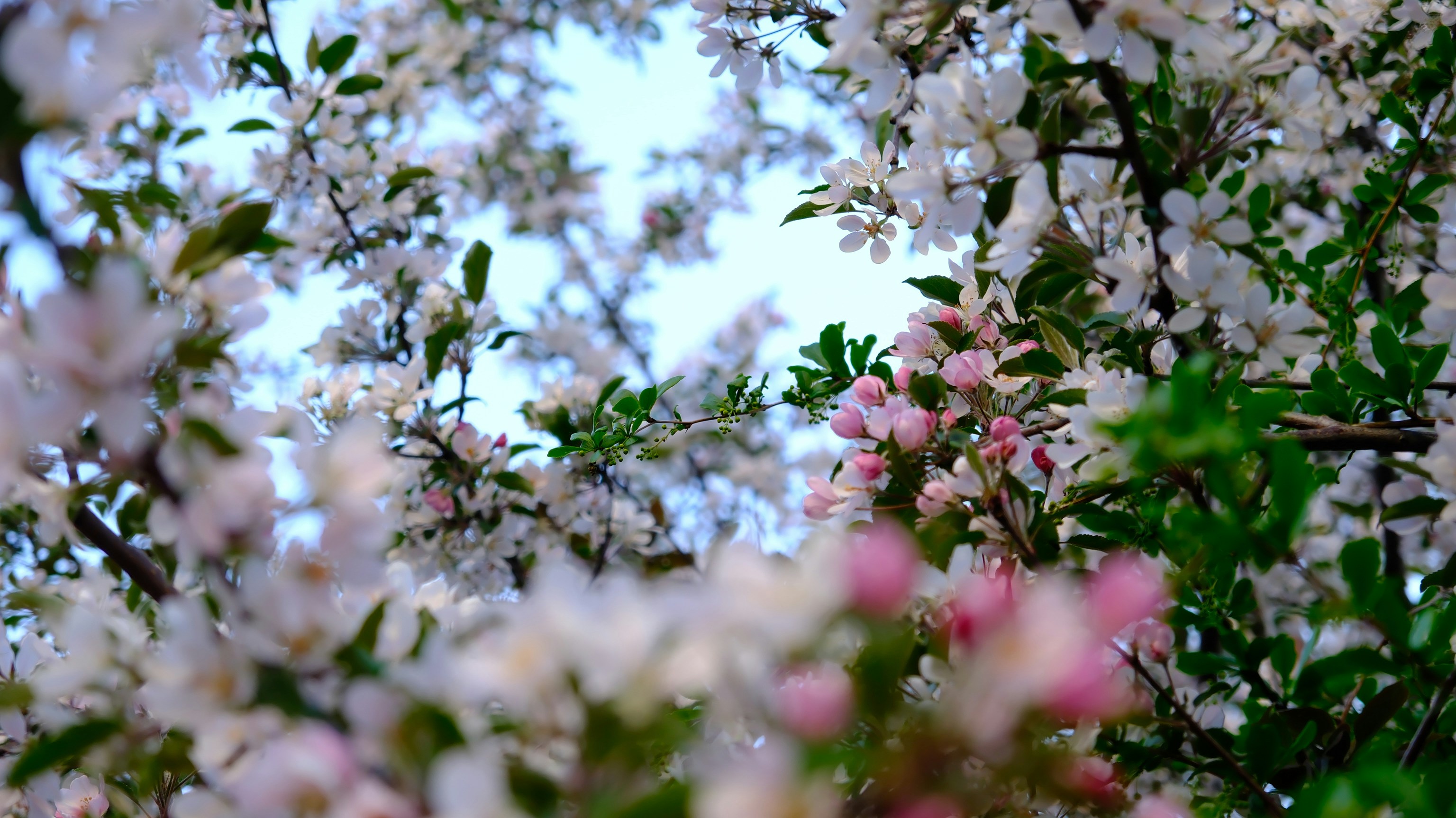 Photo by nizyerr