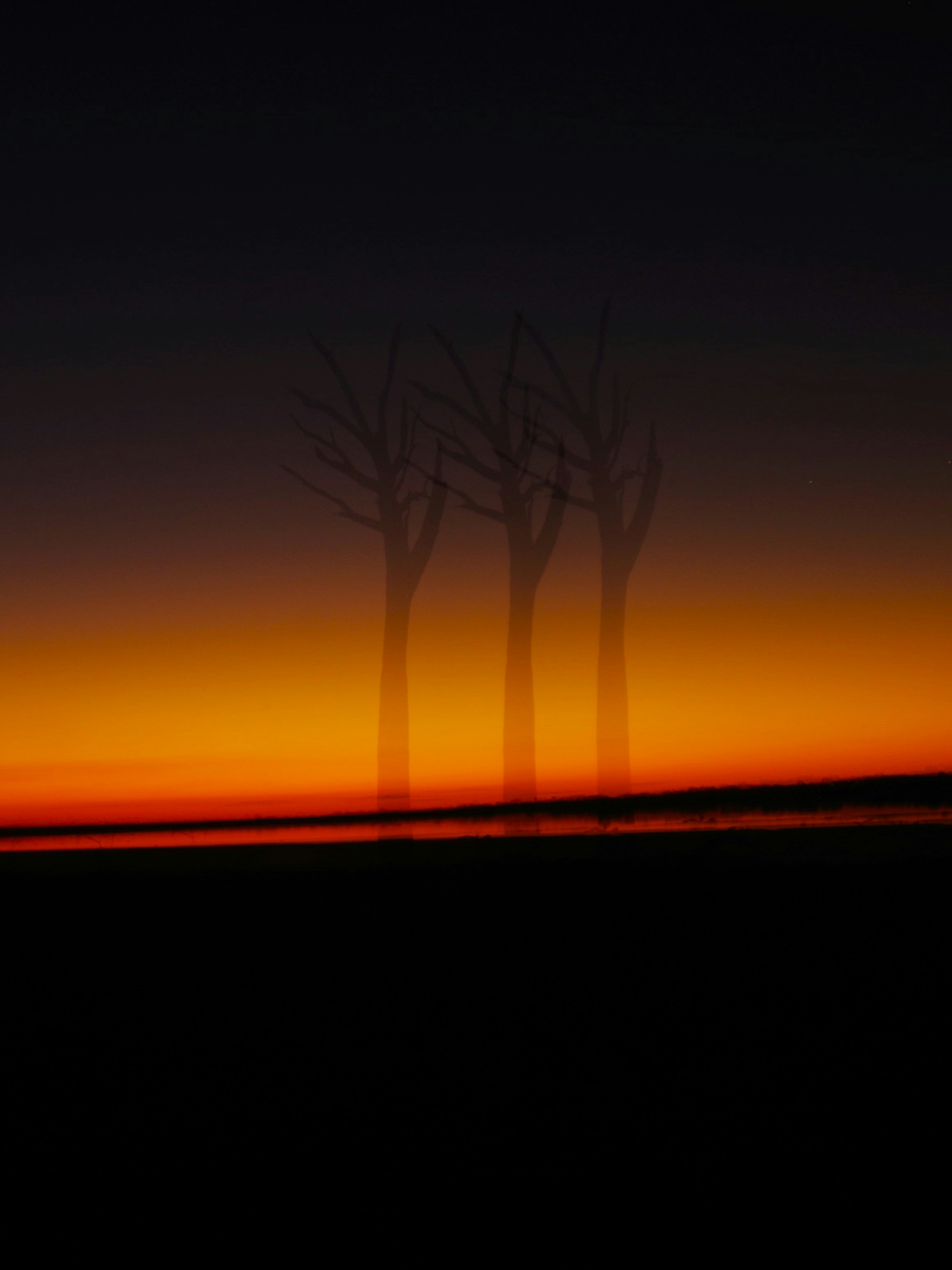 Three bare trees silhouetted against a vibrant sunset