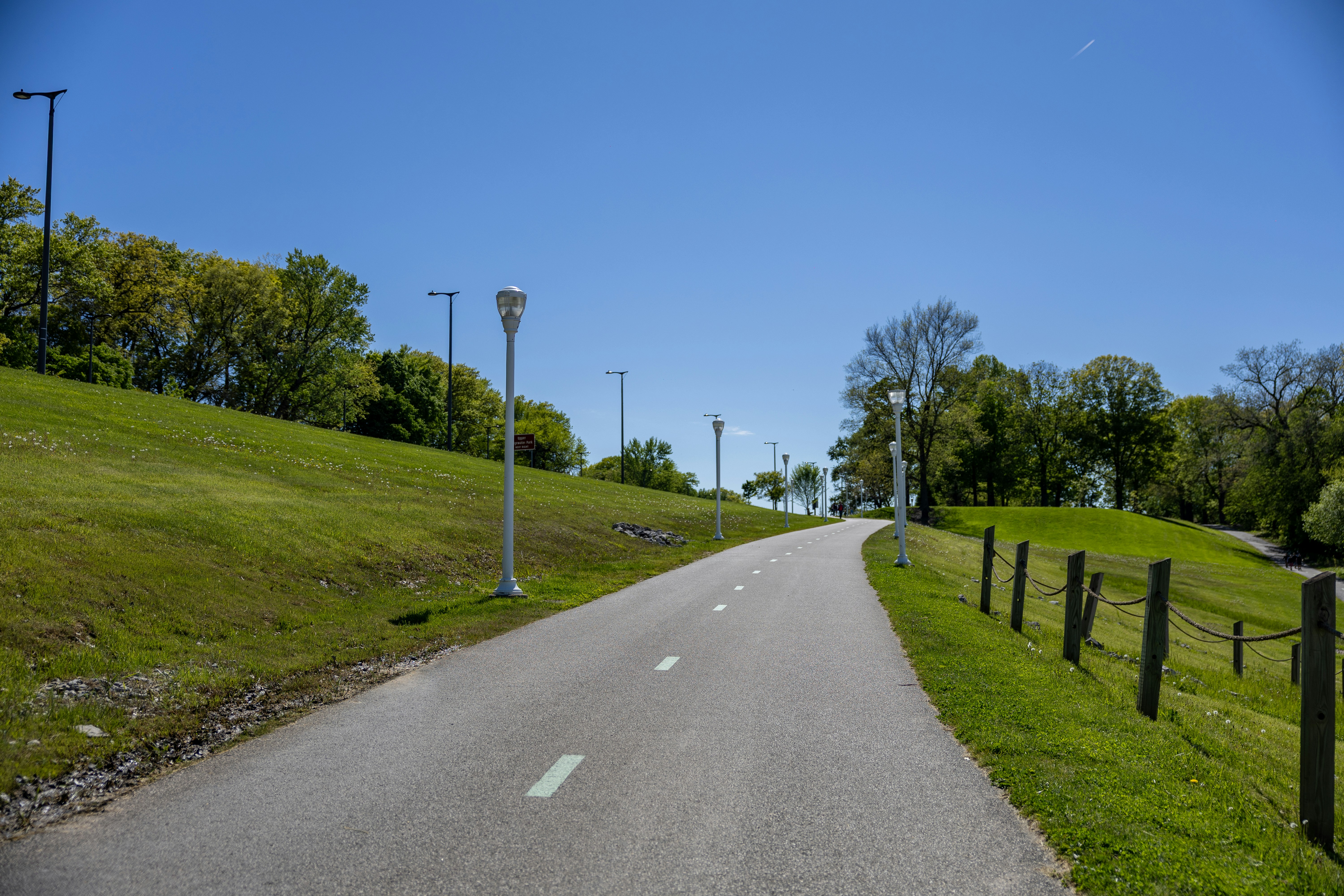 Caminho pavimentado vazio serpenteando morro acima por um parque verde.