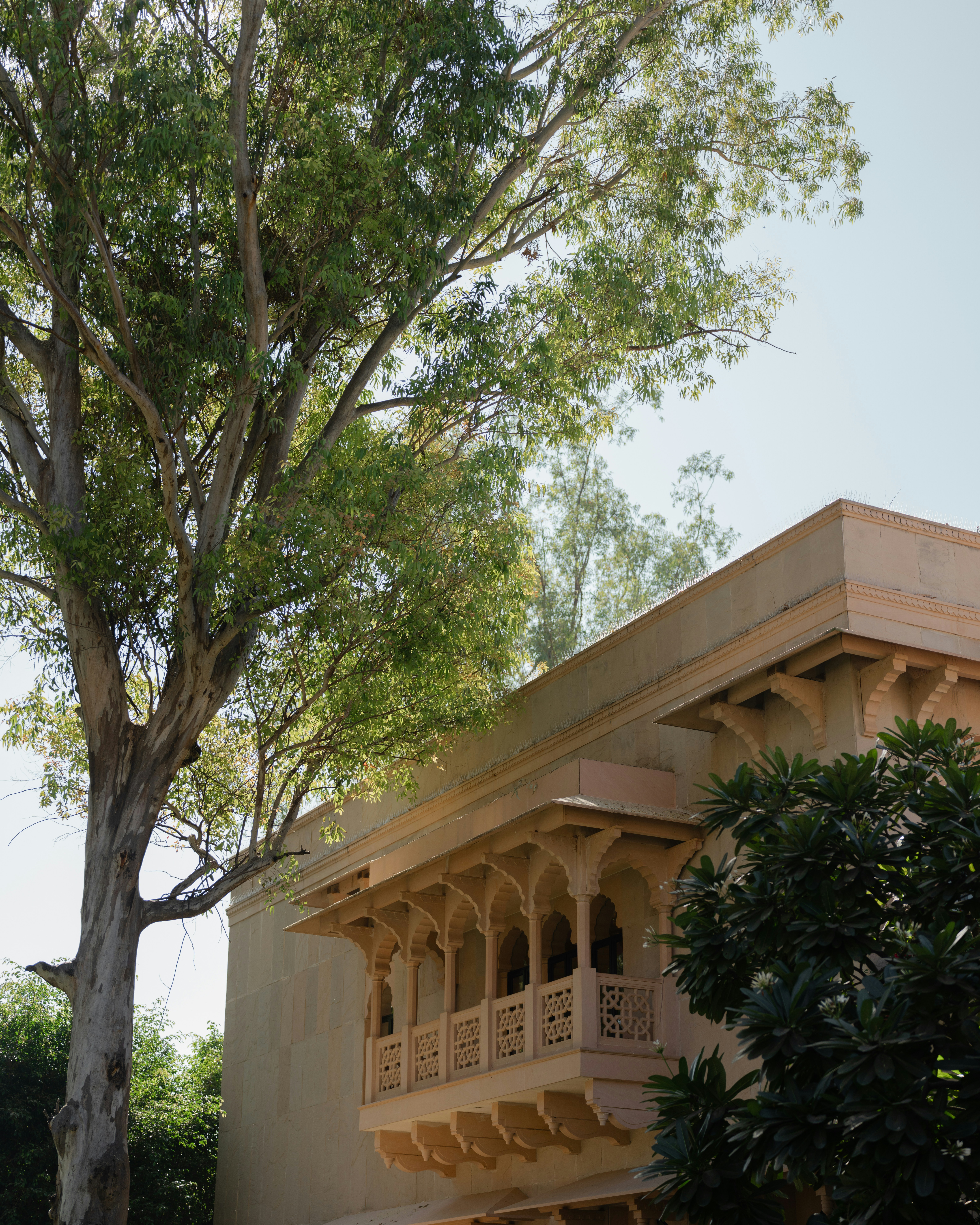 Photo by viditgoswami