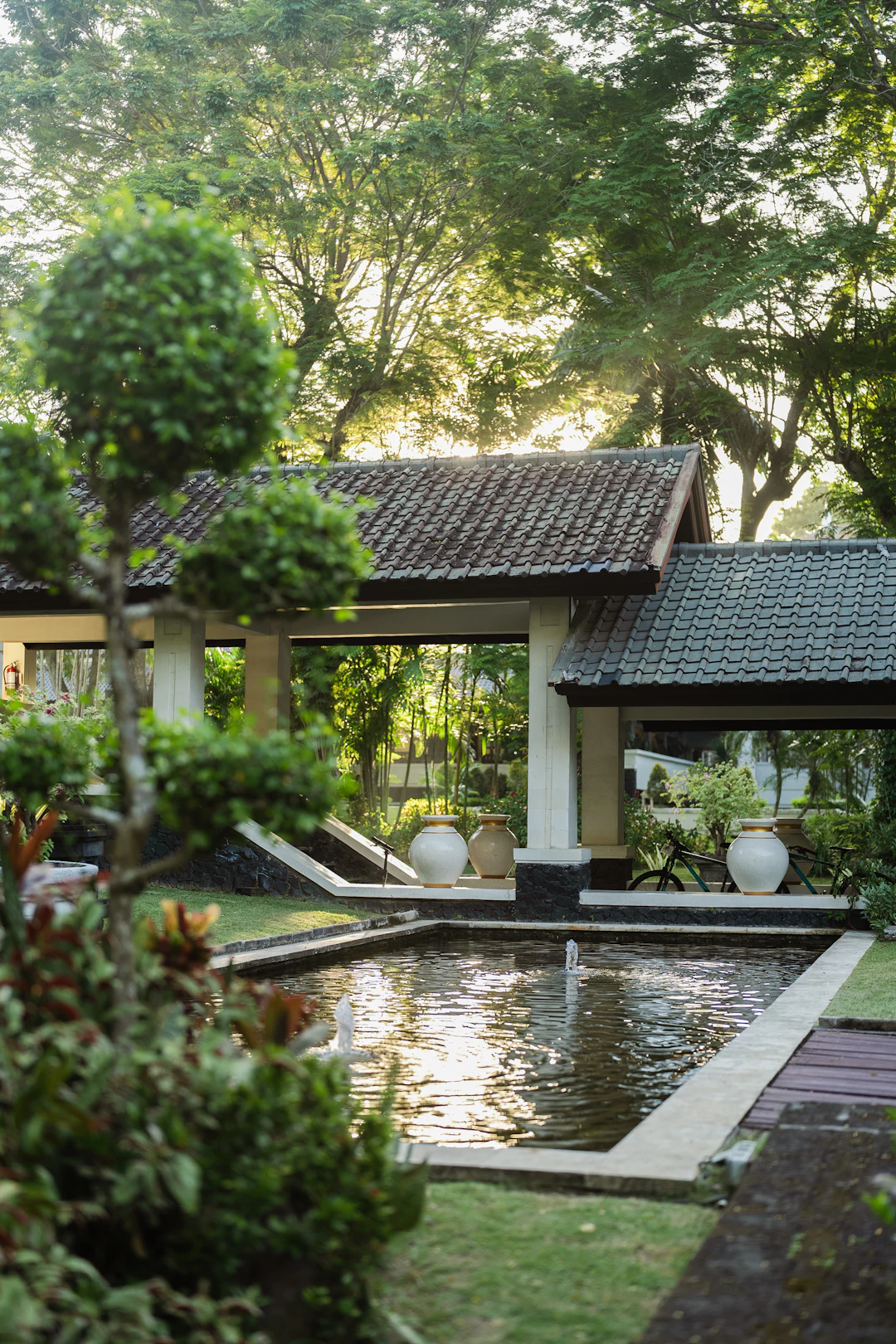 The garden