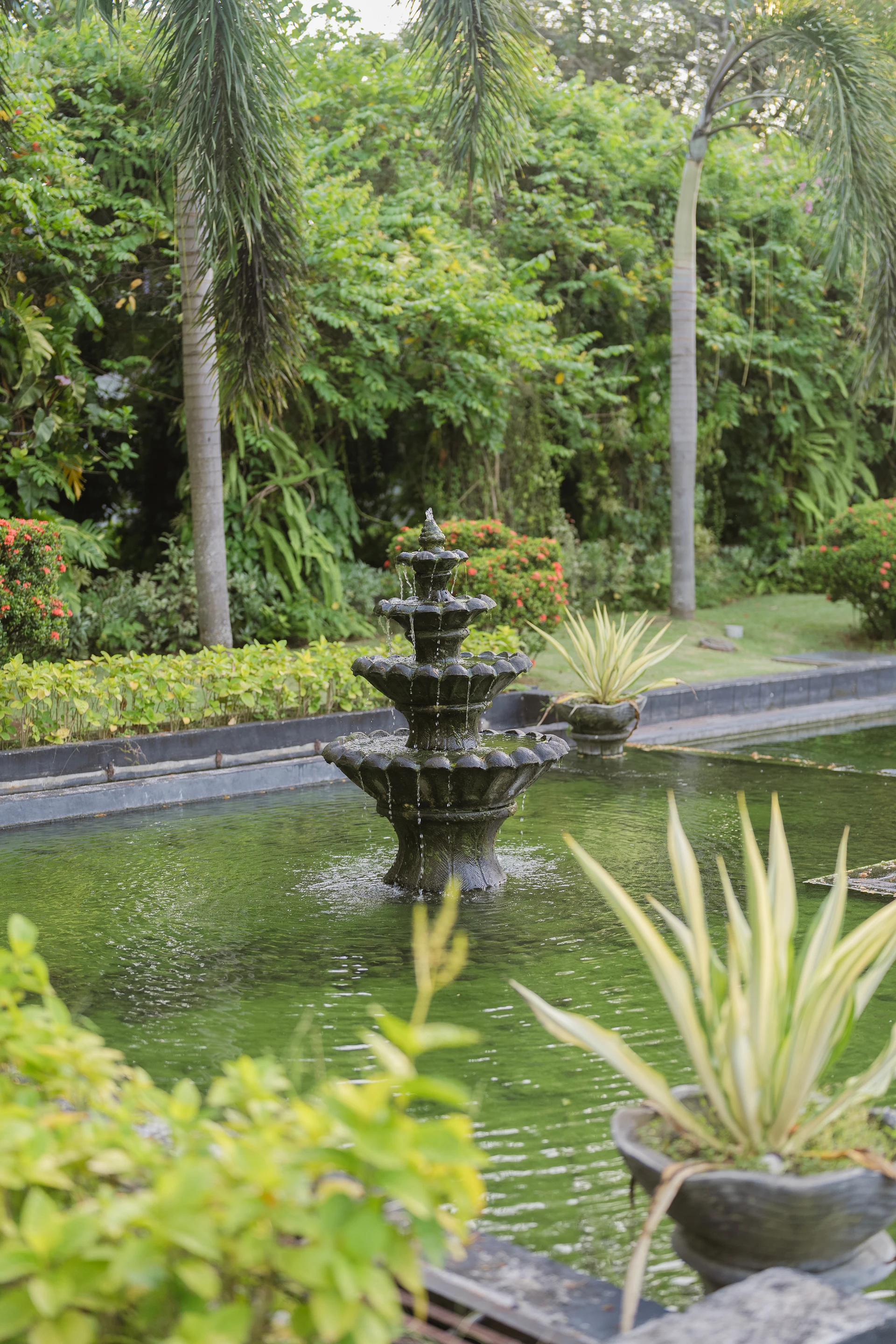 Water Features — Ponds, fountains & streams