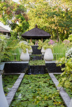Lush garden with a water feature and lily pads