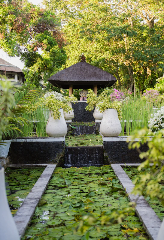 Lush garden with a water feature and lily pads