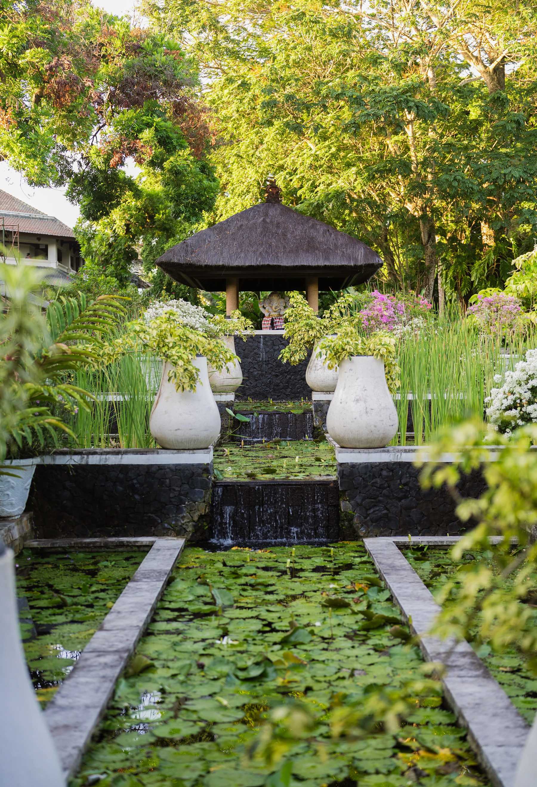 A garden made of layers, light and discovery