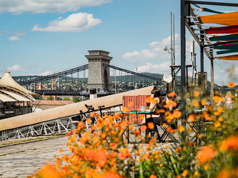 Bridge view with vibrant blooms